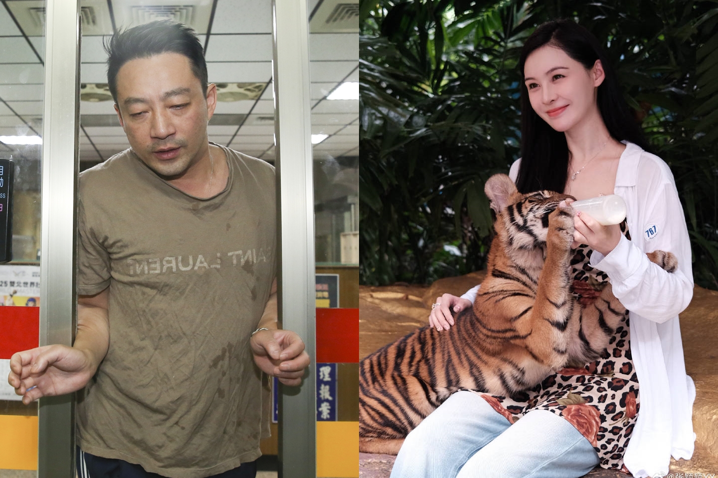 雖然當初大S與汪小菲離婚，張穎穎是其中的小三要角，但她千字文挺昔日的正宮、轟前男友。（翻攝網路、本刊資料照）