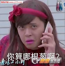 朱碧石的表情多多，配上文字後，相當逗趣。（翻攝自網路）