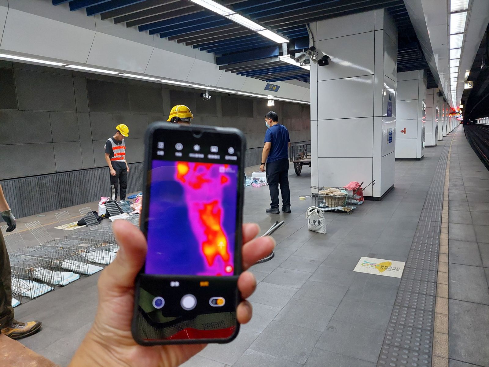 動保處與台鐵人員合作放置誘捕籠，並使用熱像儀搜索生命跡象，希望盡速找到走失的貓。（北市動保處提供）