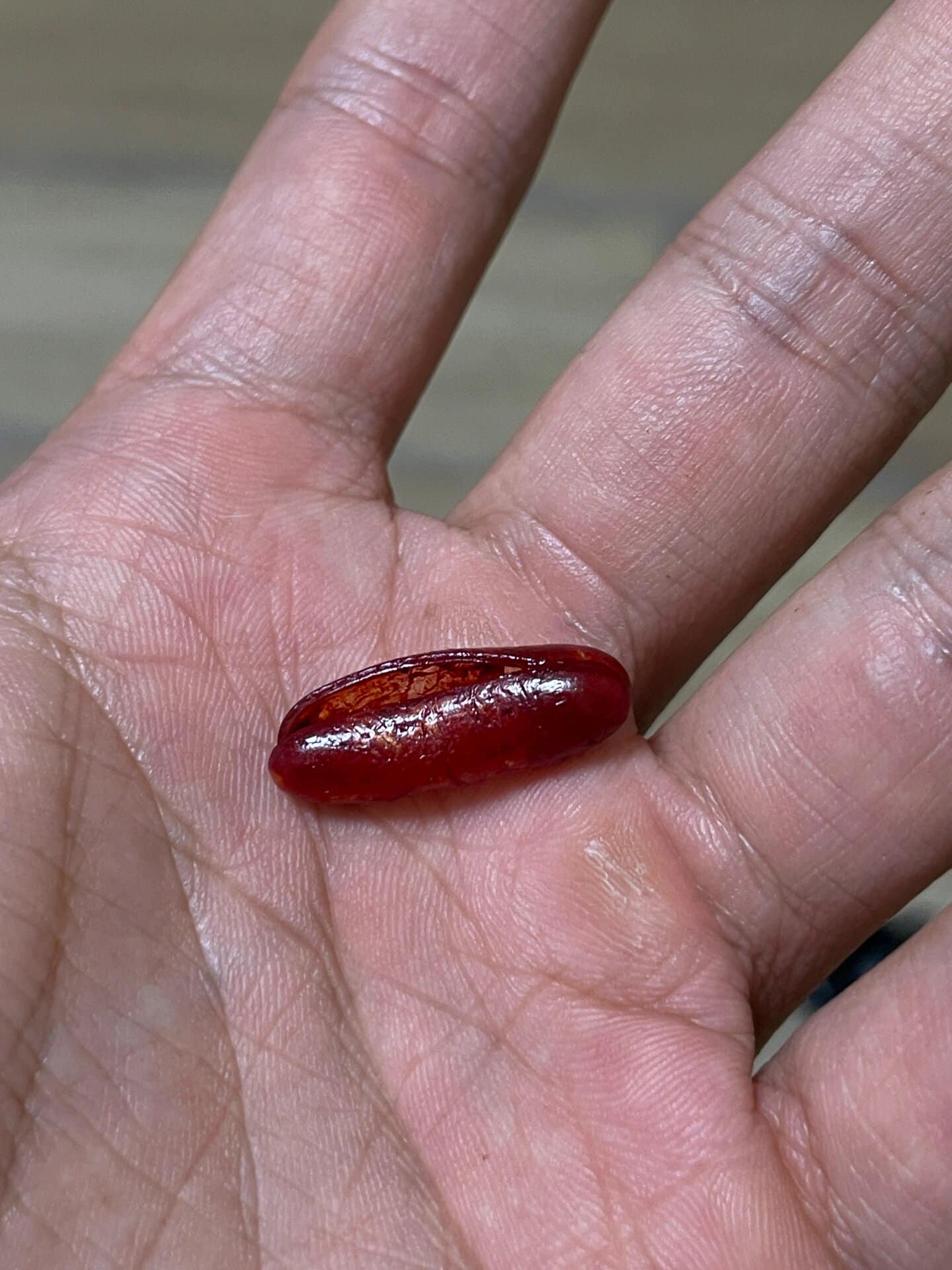 原PO順著血跡的路線尋找,才在沙發上找到被弄破的茄紅素膠囊,結束一場虛驚。(翻攝自臉書社團「貓咪也瘋狂俱樂部 CrazyCat club」)
