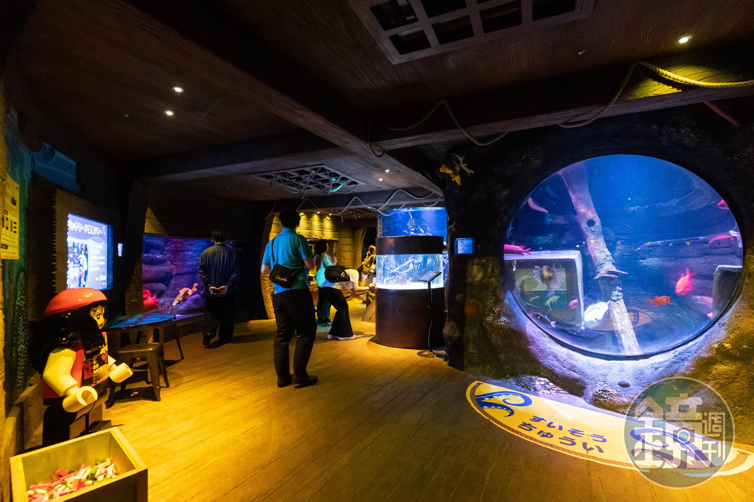 水族館以寓教於樂為理念，結合觸摸池、導覽解說與互動活動，適合親子共遊探索。