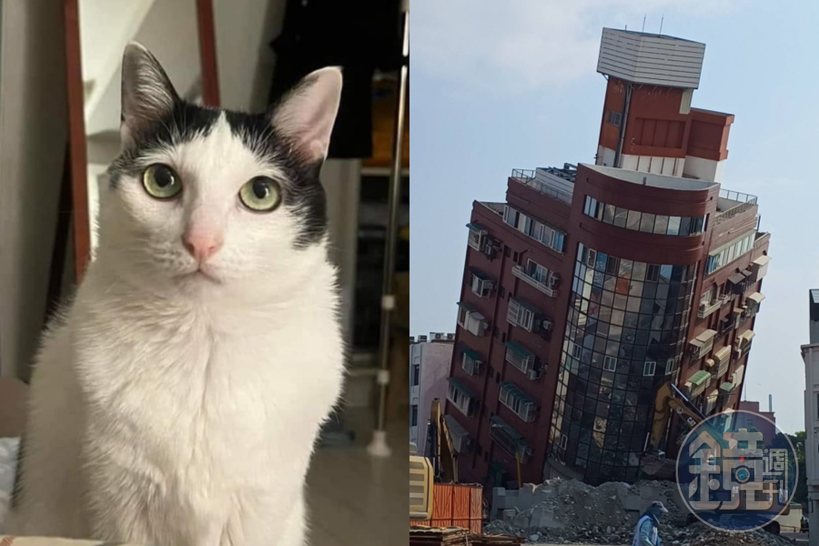 天王星大樓傾倒釀災，目前還有一隻貓咪「歐膩」下落不明。（左圖／翻攝自貓咪也瘋狂俱樂部 CrazyCat club臉書）