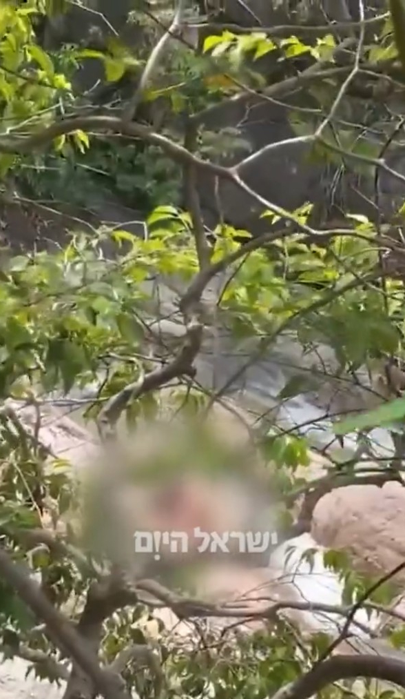 情侶在瀑布旁活春宮,還伴隨蟲鳴鳥叫。(翻攝Israel Hayom)