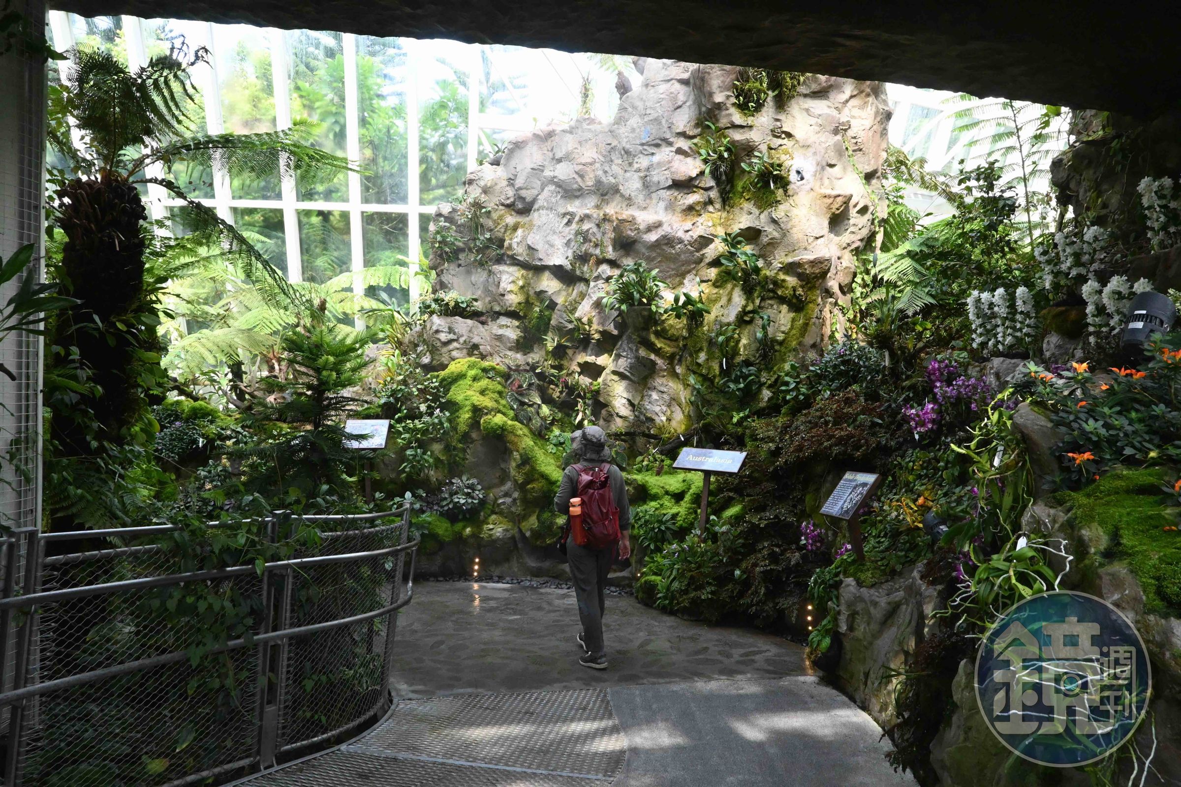 新加坡植物園每日清晨5點開放至午夜，且免費入園，是當地人散步、慢跑的好去處。