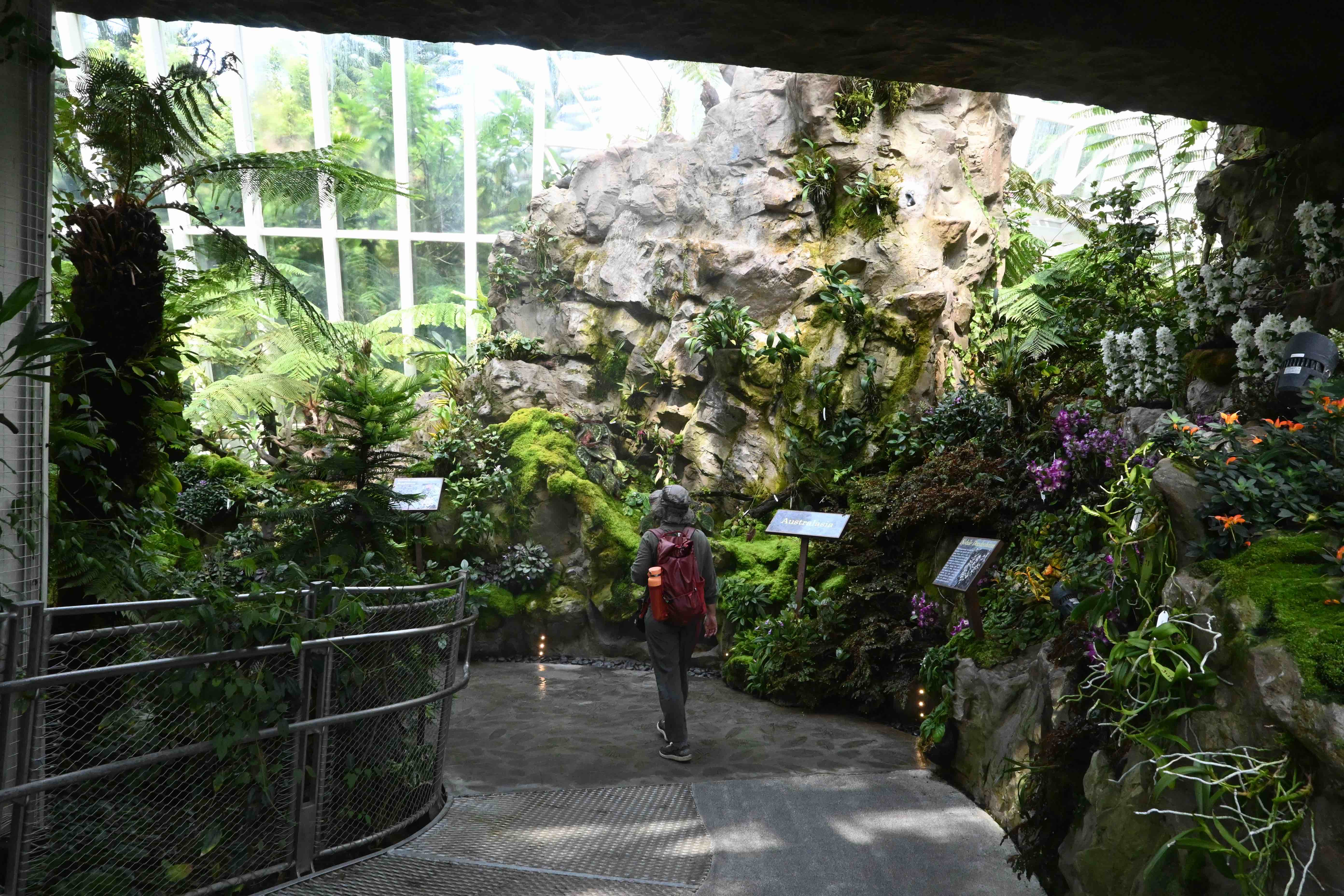 新加坡植物園每日清晨5點開放至午夜,且免費入園,是當地人散步、慢跑的好去處。