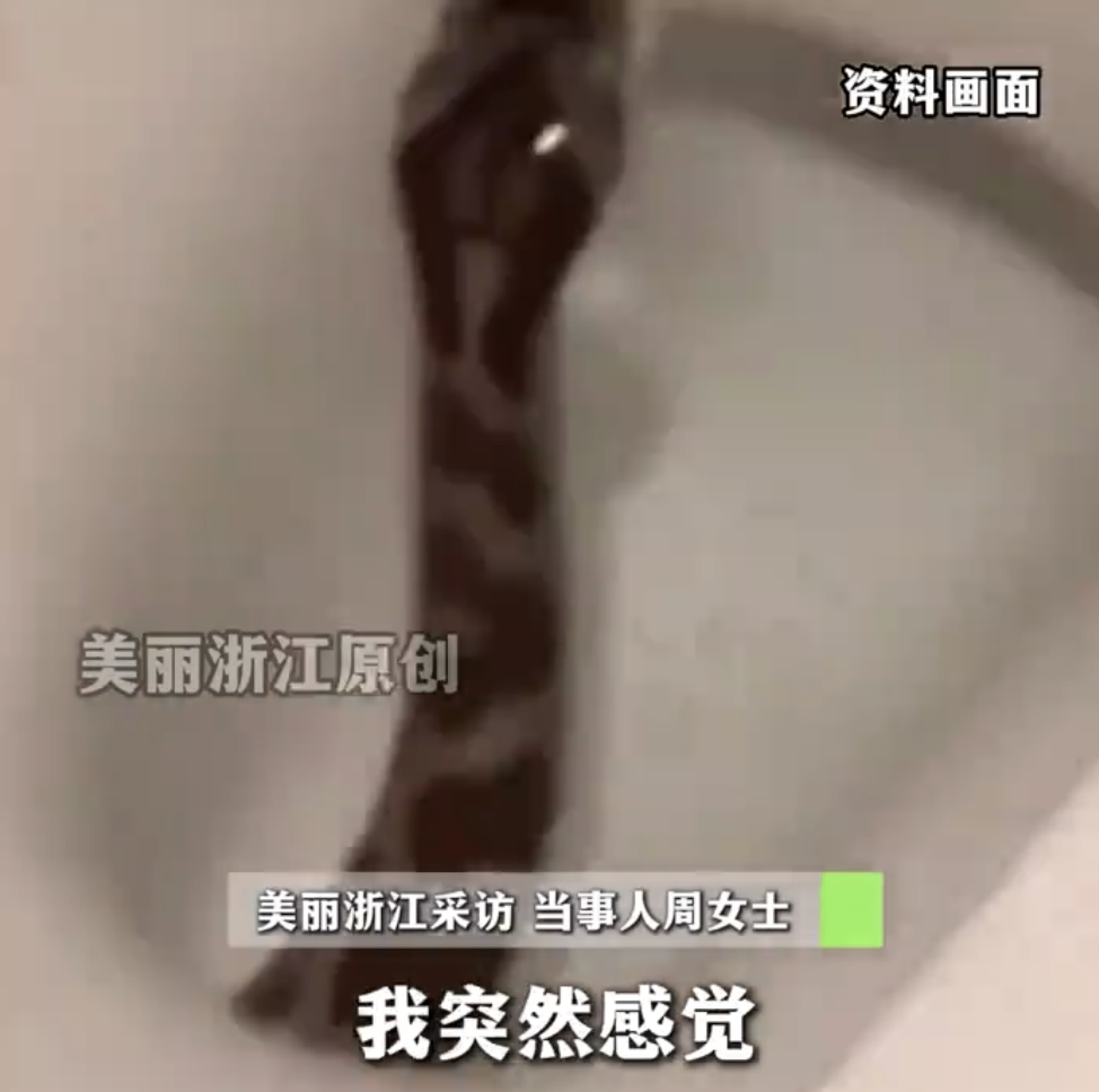 中國一名女子半夜上廁所時,馬桶驚現一隻蛇。(翻攝自微博)