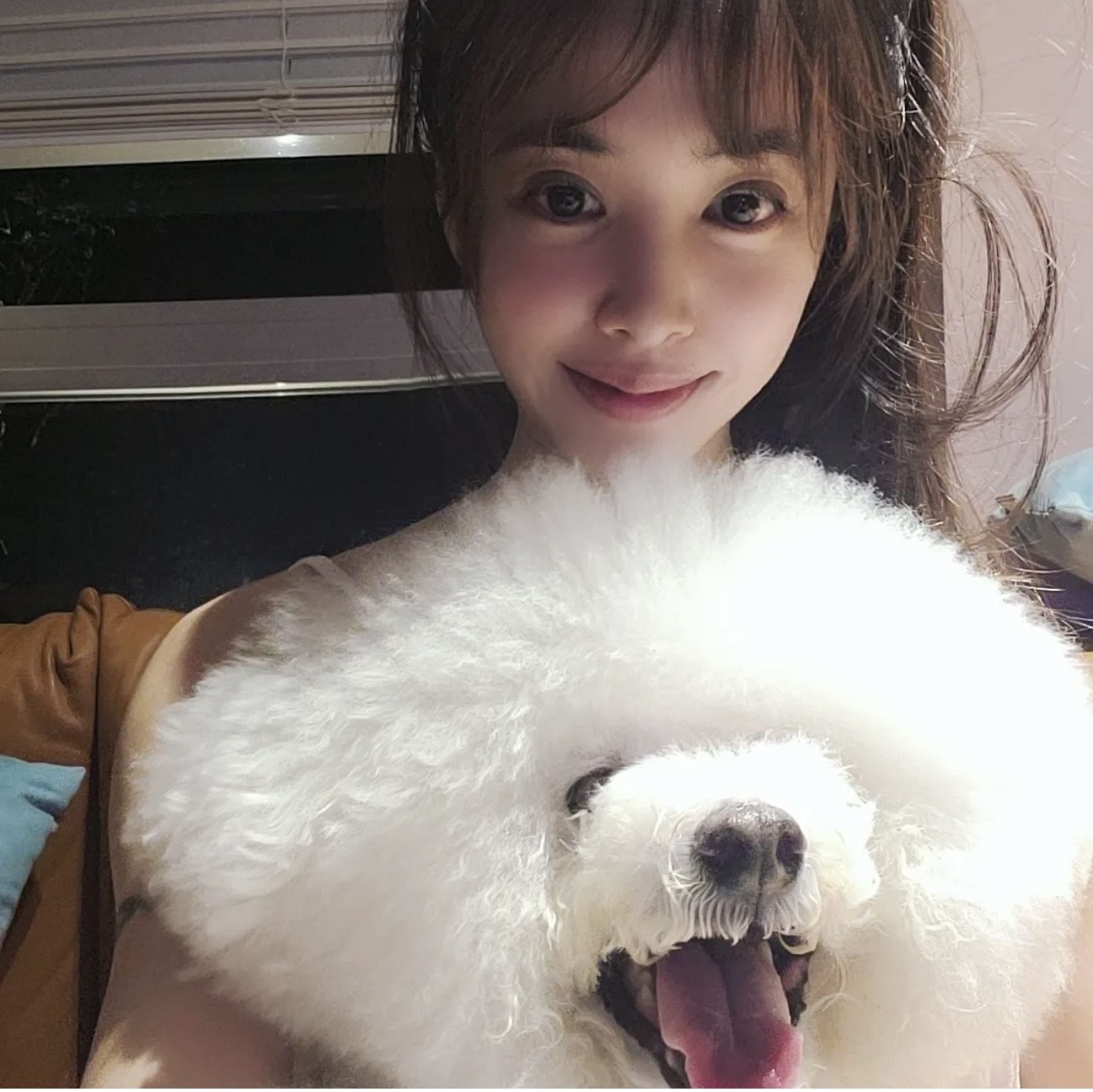 蔡依林愛犬屋虎過世。(翻攝自蔡依林IG)