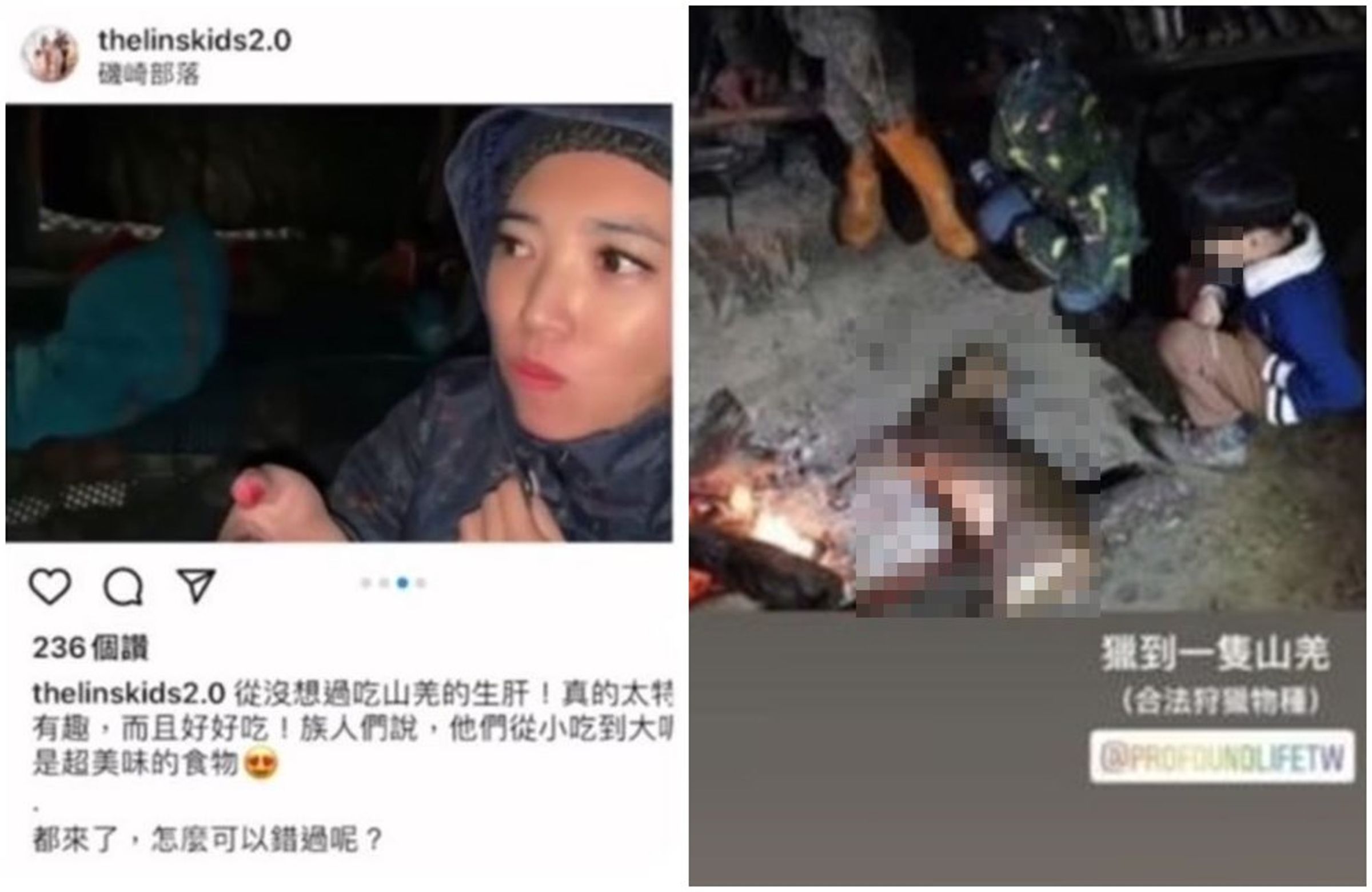 7寶媽過去將狩獵生吃山羌肝的畫面po上網，引發爭議。（翻攝「爆料公社二社」臉書社團）
