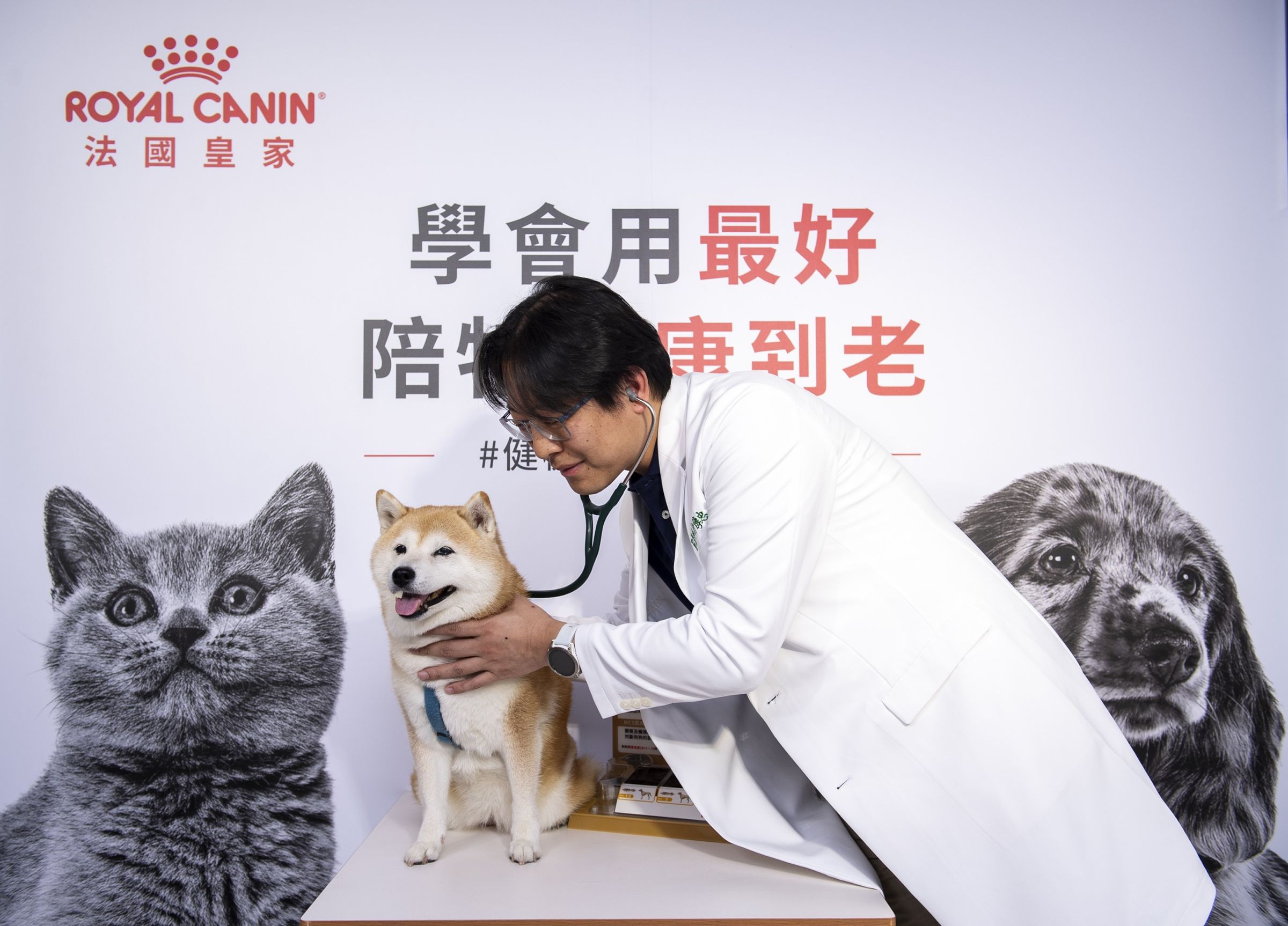 興沛動物醫院許傳忠院長指出，定期健檢不只是為了找出疾病，更是為了及早建立專屬的健康基準，日後身體一旦出現變化，獸醫師就能進行比對並及時治療。（法國皇家提供）