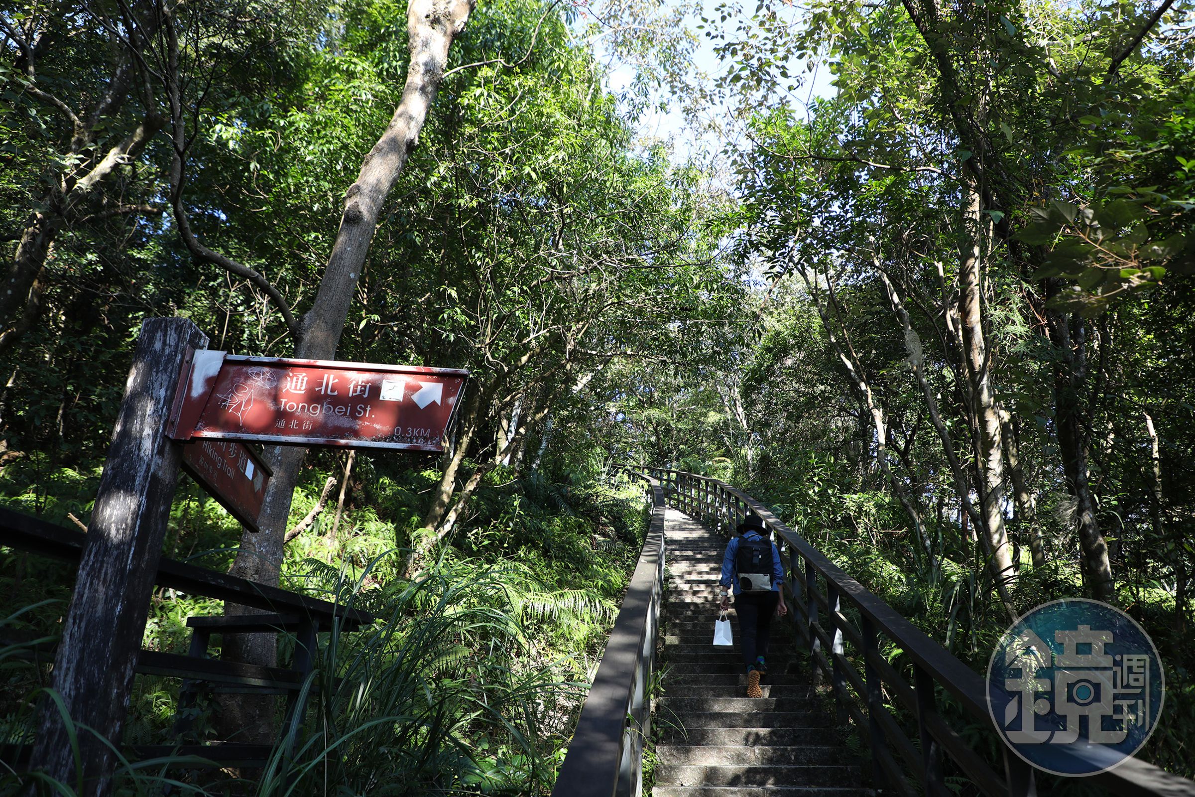 從大直通北街進入劍潭山，坡度相對平緩，慢慢熱身後再進入山林路段。
