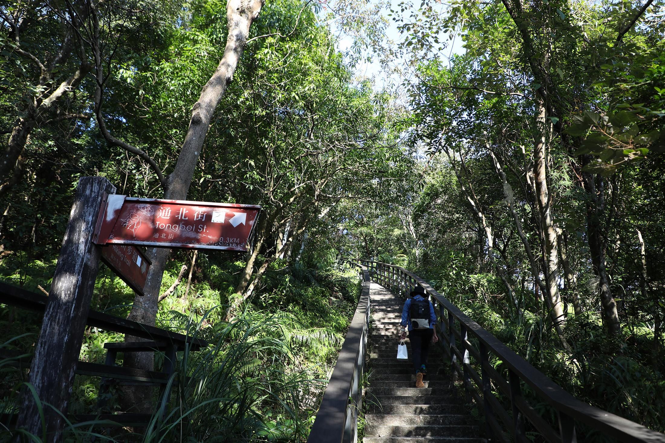 從大直通北街進入劍潭山，坡度相對平緩，慢慢熱身後再進入山林路段。