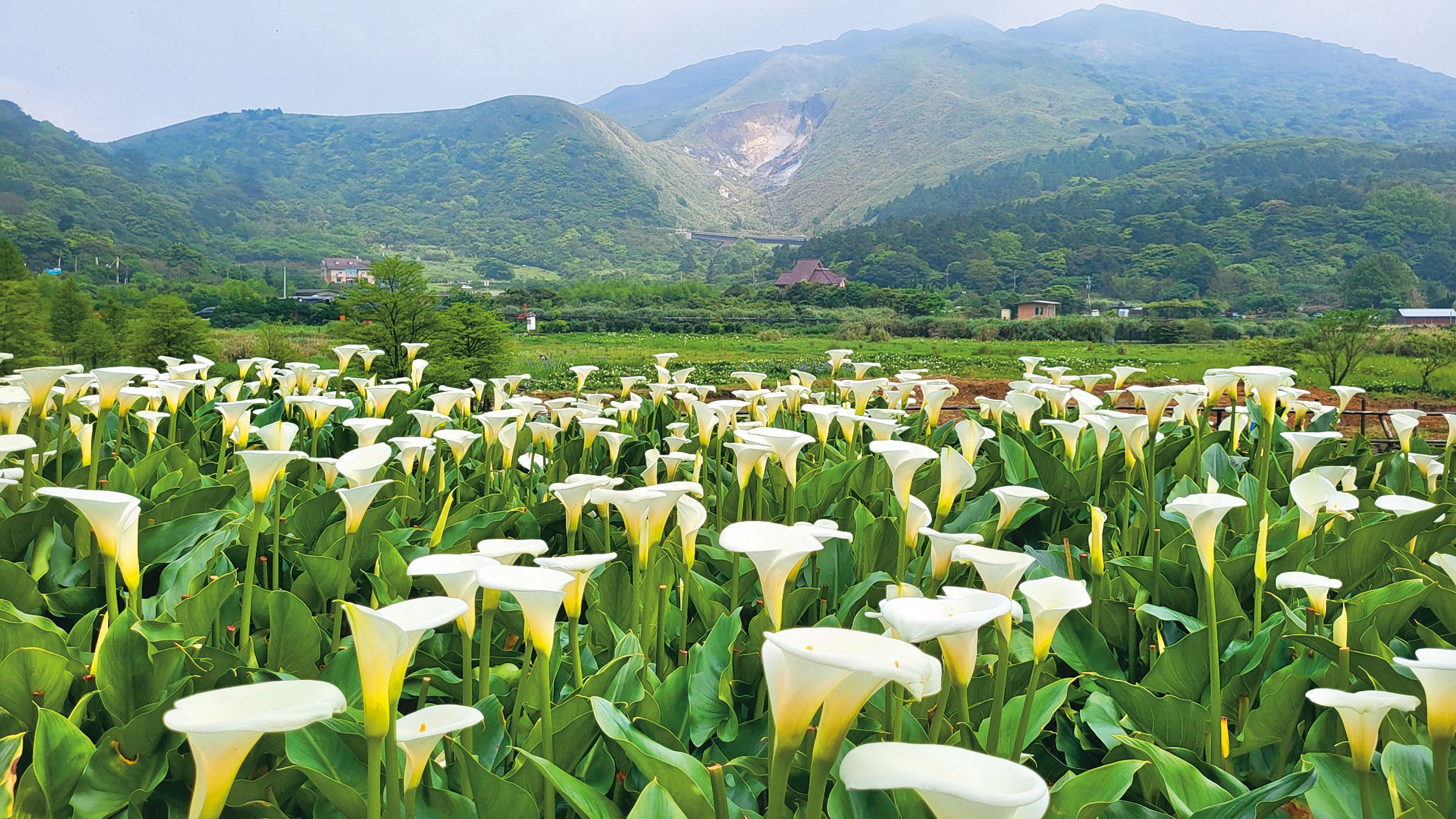 沿著湖山祕境漫步，可見在地農家風光。（圖／Voyage陽明山）