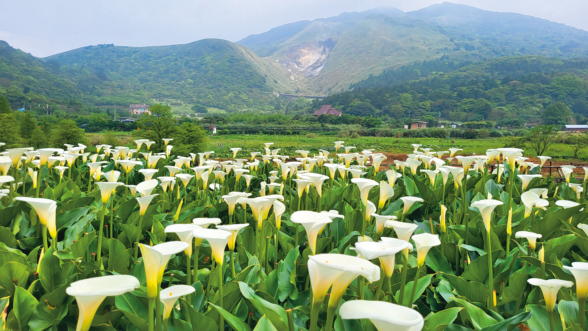 沿著湖山祕境漫步,可見在地農家風光。(圖/Voyage陽明山)
