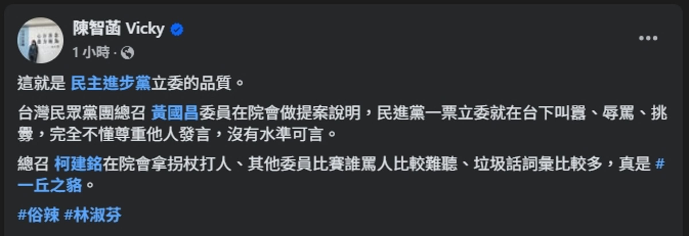 陳智菡表示,「這就是民主進步黨立委的品質」。(翻攝自臉書@陳智菡)