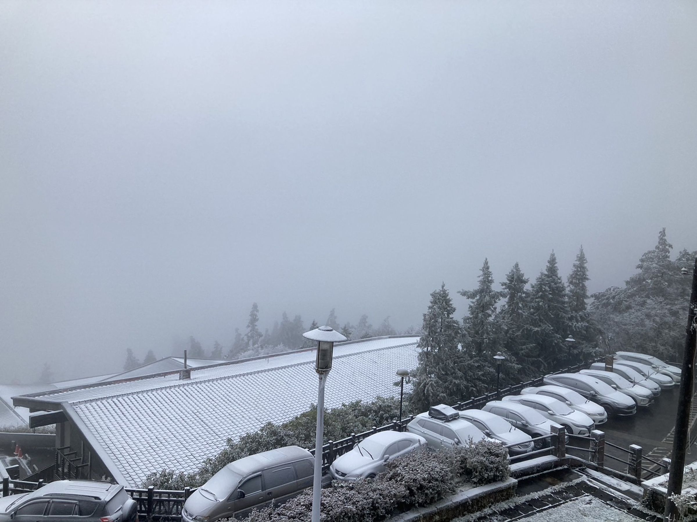 宜蘭太平山昨日深夜開始降雪，銀白世界美景曝光。（農業部林業及自然保育署宜蘭分署提供）