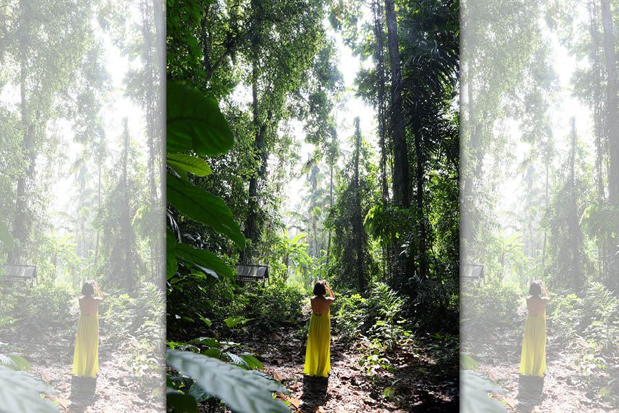 當陽光穿過樹葉照進烏布原始森林裡，隨處都可拍出叢林時尚大片。