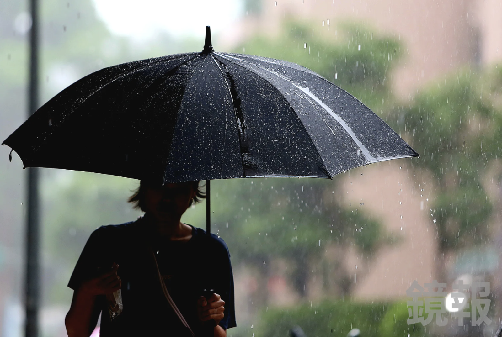 西南風發威!今全台防午後雷雨 高溫飆破36度