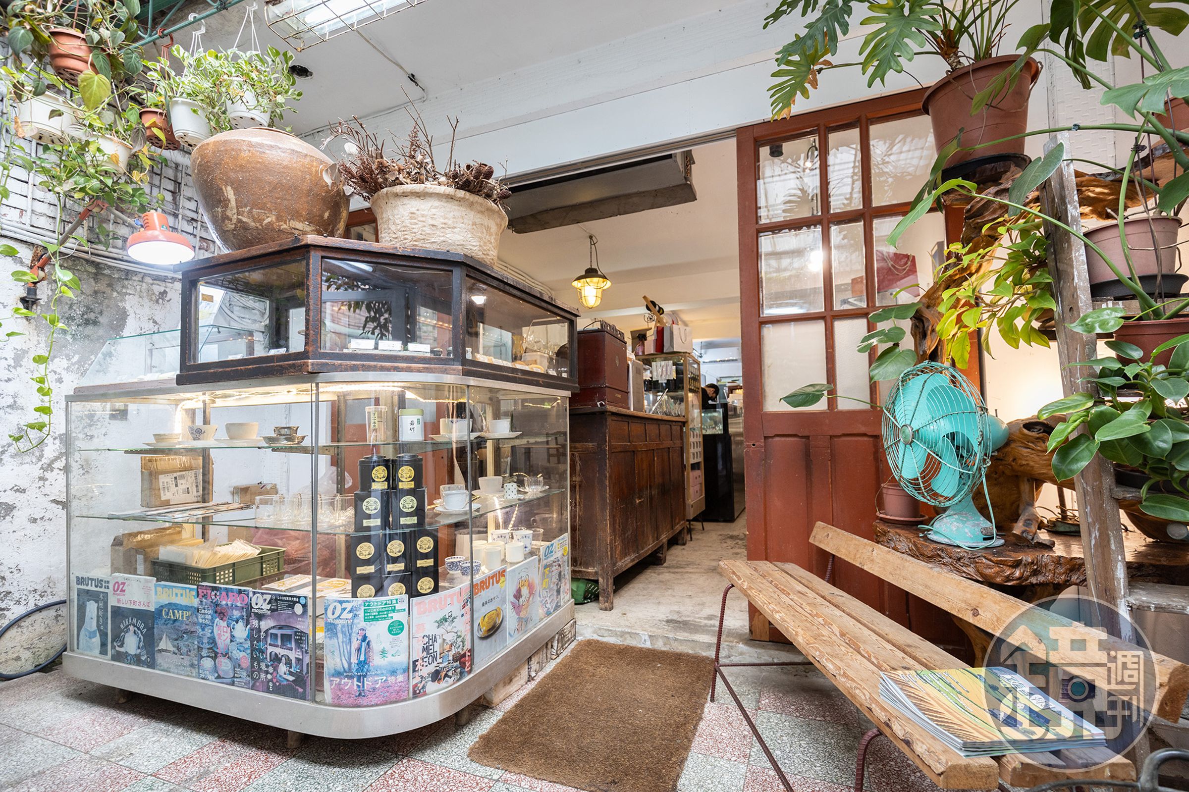 甜點店內擺滿各種植栽,還引入明亮採光。