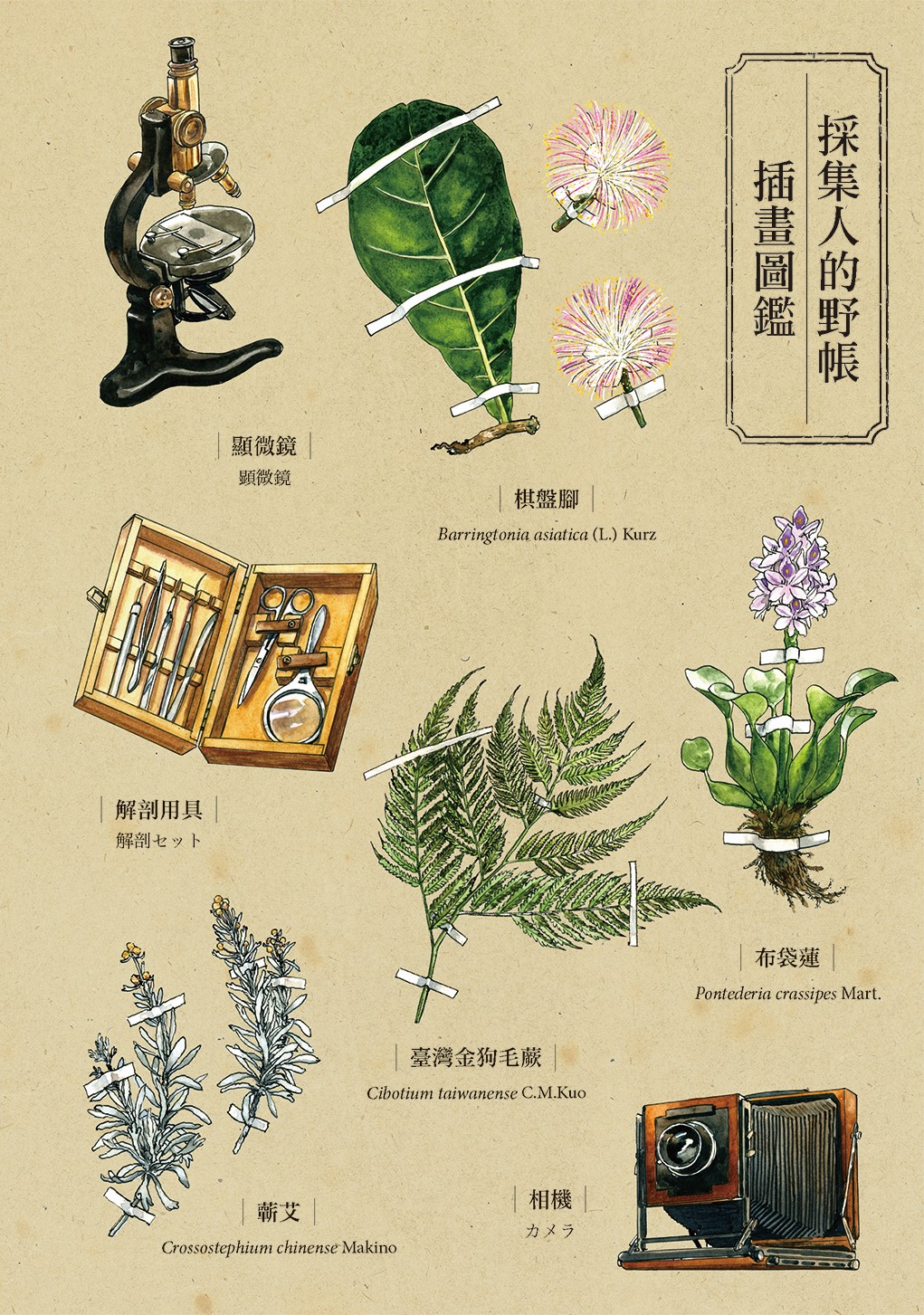 英張在《採集人的野帳》中繪製許多植物及採集器具，每集單行本都會以彩色圖鑑特別介紹。（蓋亞文化提供）