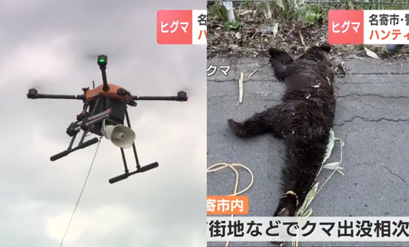 日本岐阜縣秋季熊害頻傳，縣政府決定出動搭載喇叭的無人機，播放狗吠聲與鞭炮聲「進攻性」驅熊，成為日本首批導入此策略的地區之一。（翻攝自YT / HBCニュース　北海道放送）