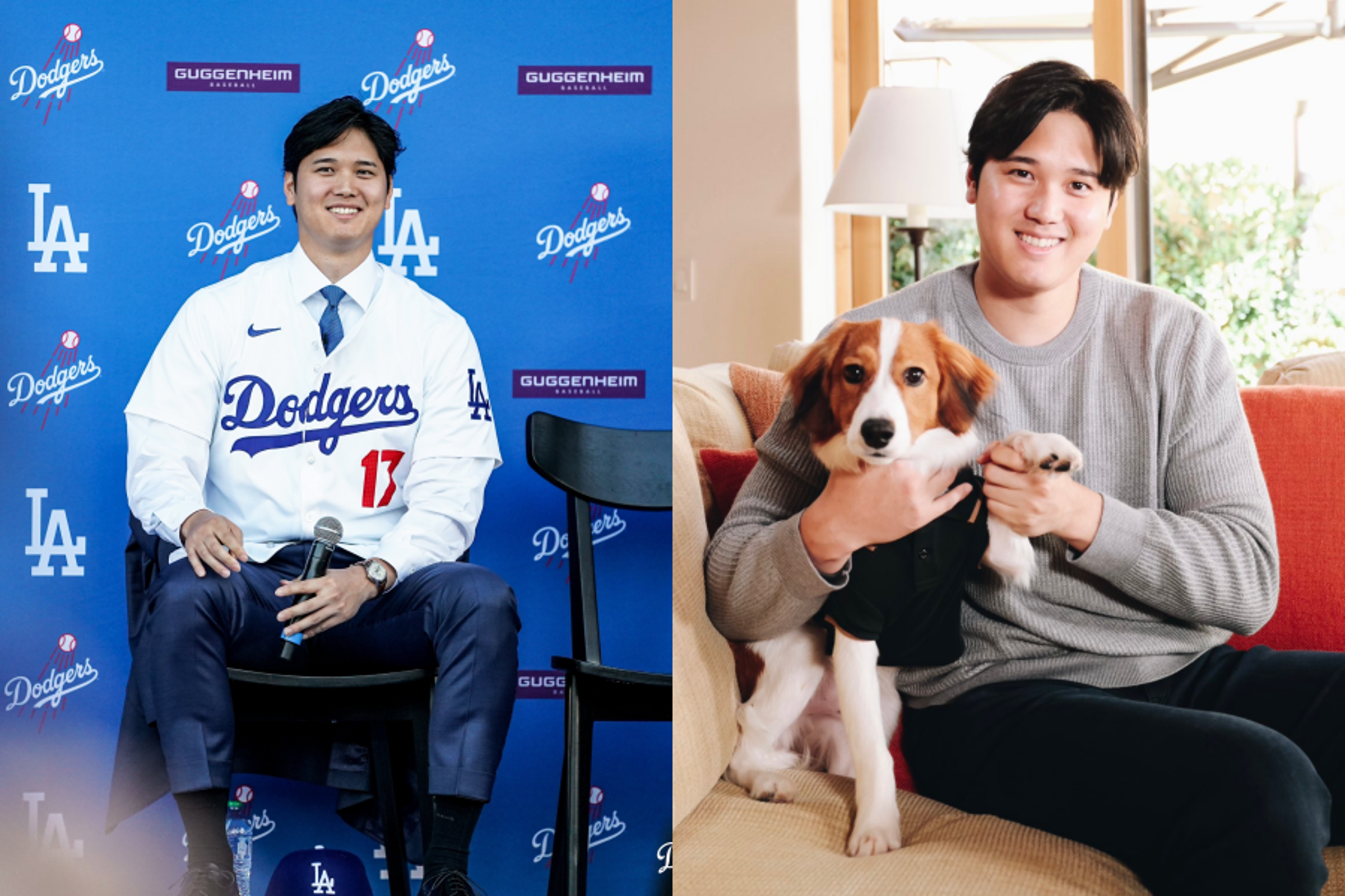 棒球巨星大谷翔平一舉一動都備受關注,近日他在加盟道奇的記者會上公布了自己狗狗的名字。(翻攝自@Dodgers、@Angels X)
