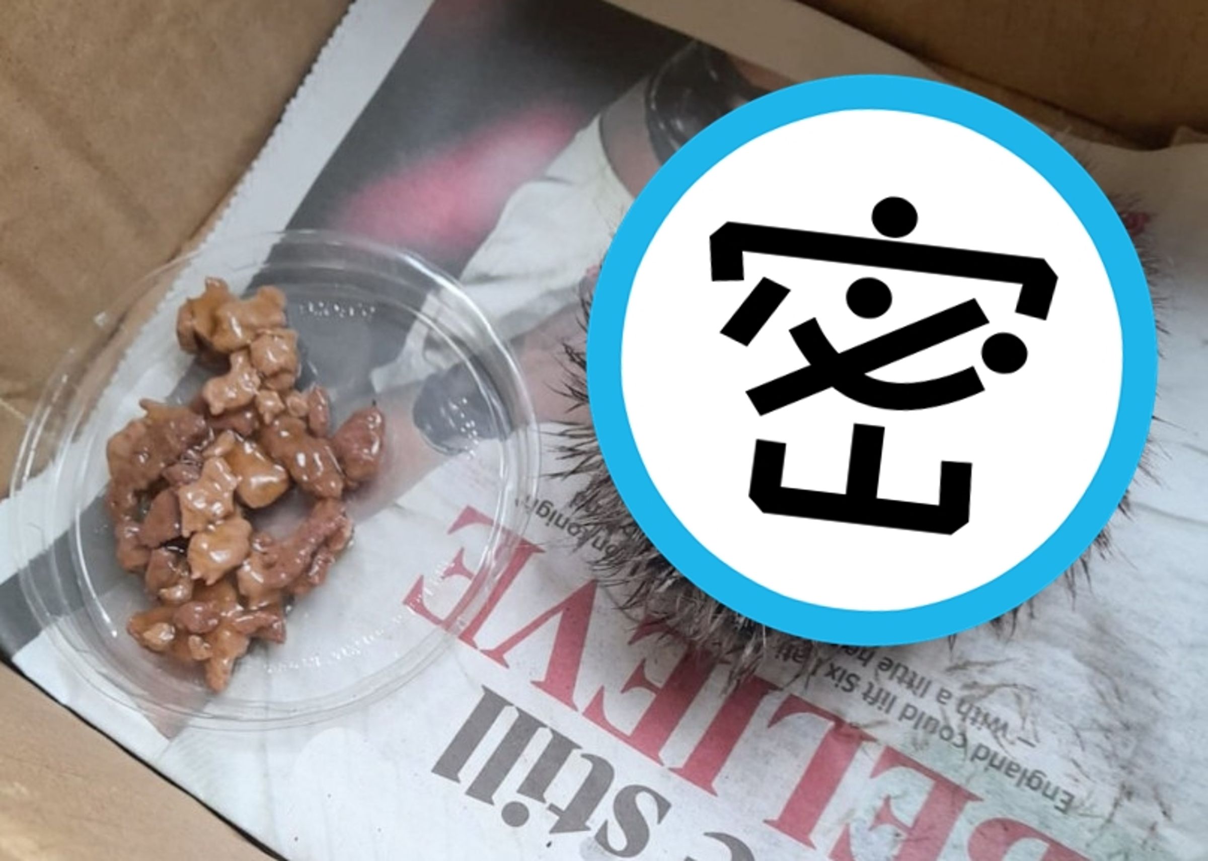 英國有名老婦人在路邊撿到一隻捲成球形的「刺蝟」,帶回家照料卻搞出一場烏龍。(翻攝X@Telegraph)