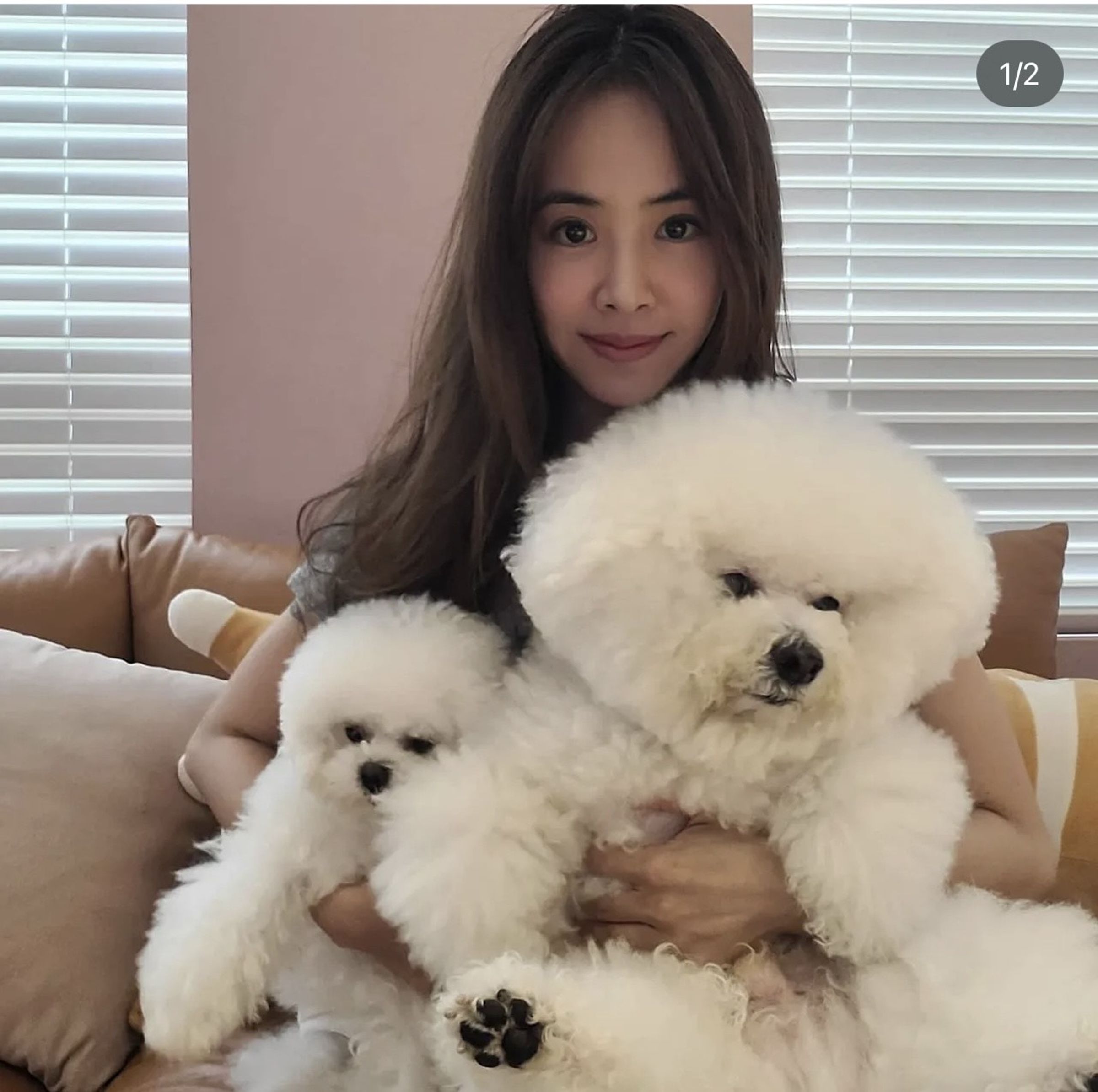 蔡依林非常疼愛寶貝愛犬。(翻攝自蔡依林IG)
