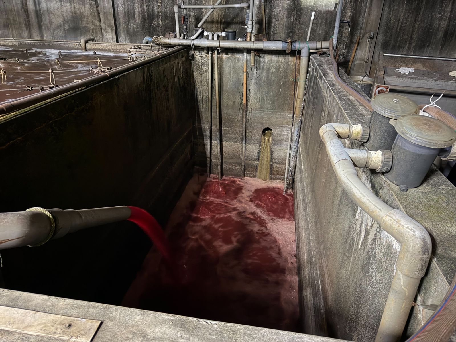 罰不怕?新北食品廠「血染水溝」遭勒令停工 議員抓包:隔天照樣排放