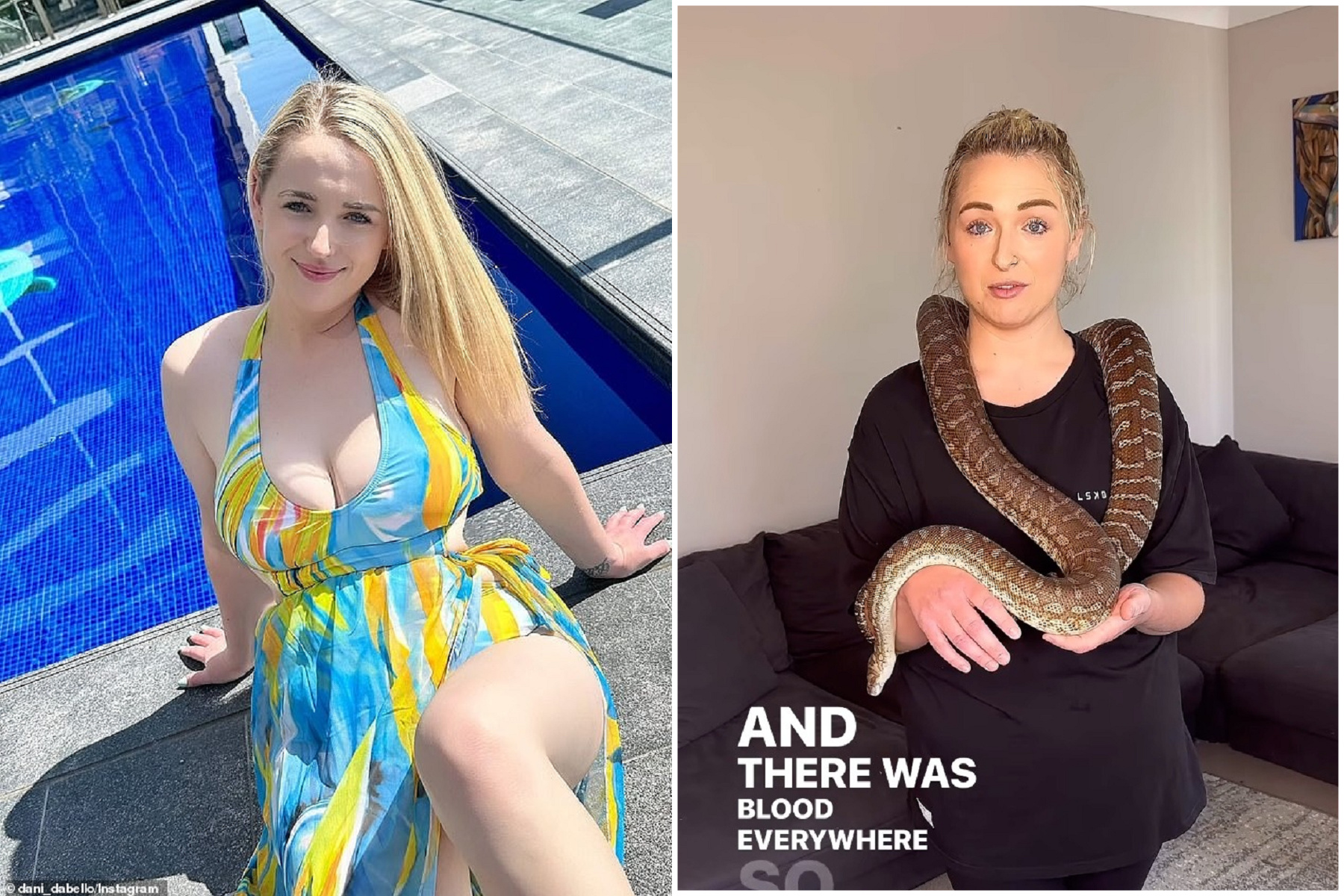 AV女優激戰後讓砲友玩寵物蛇，下一秒太慘！他下體小頭被蛇頭咬爆濺血。（翻自IG）