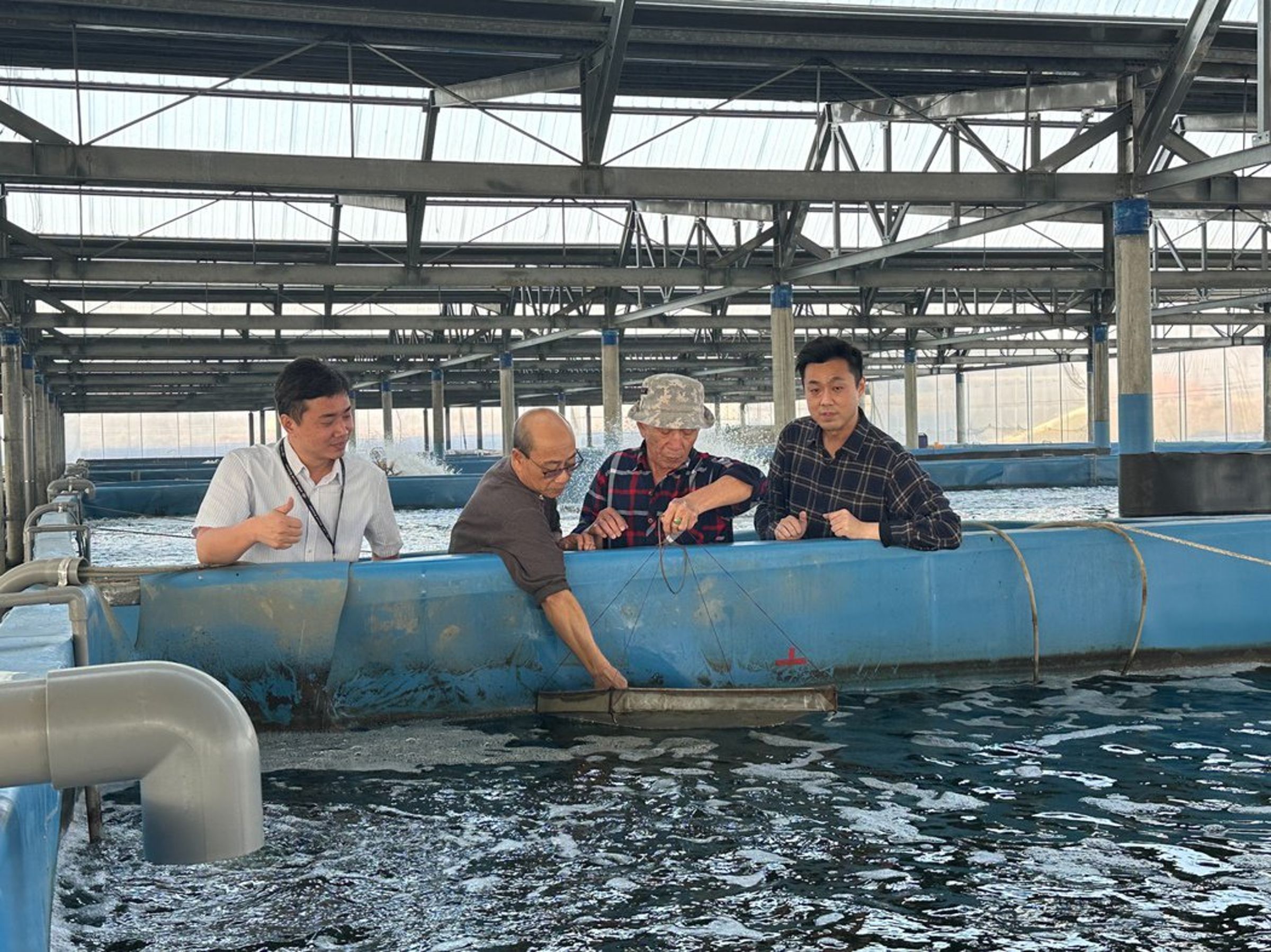 漁電共生牽涉水質、土壤以及病毒傳染問題，並非太陽能電廠的專業。（翻攝自誠新綠能官網）