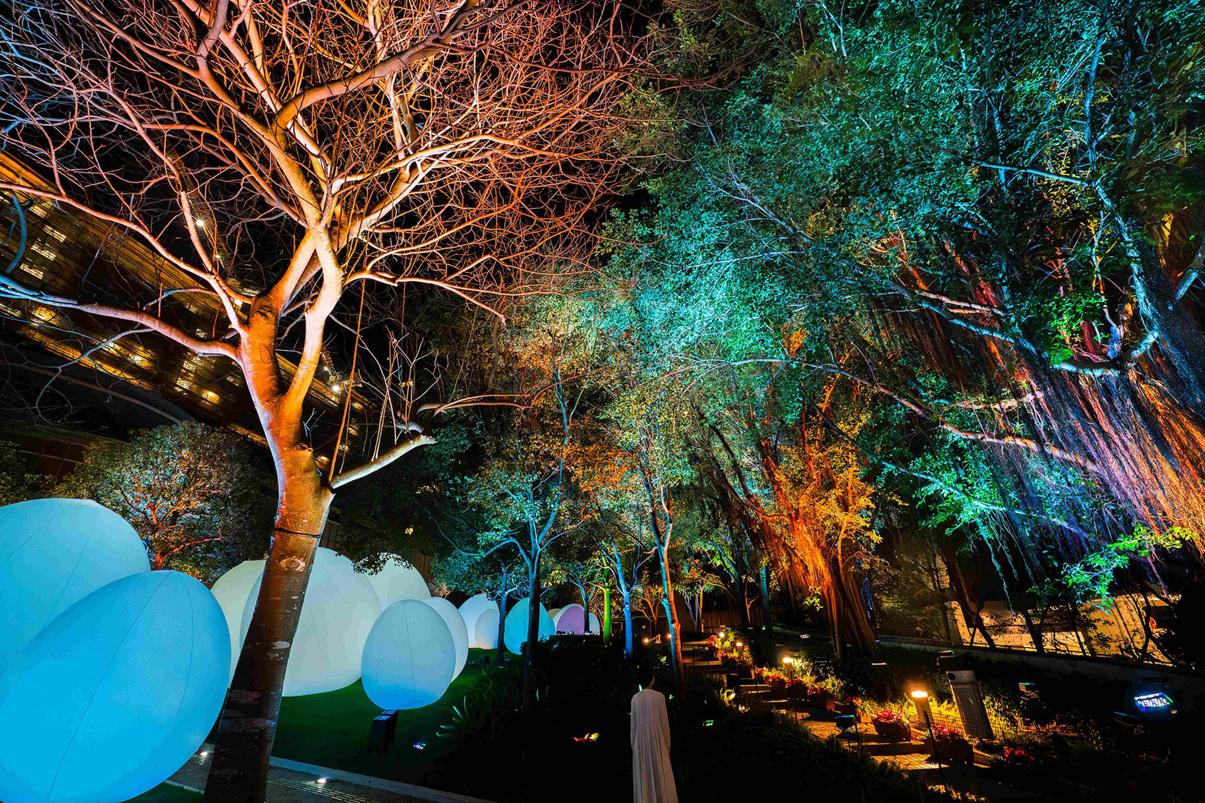 人氣景點「teamLab: 光漣」將維港海濱化為一座光影樂園。(香港旅遊發展局提供)