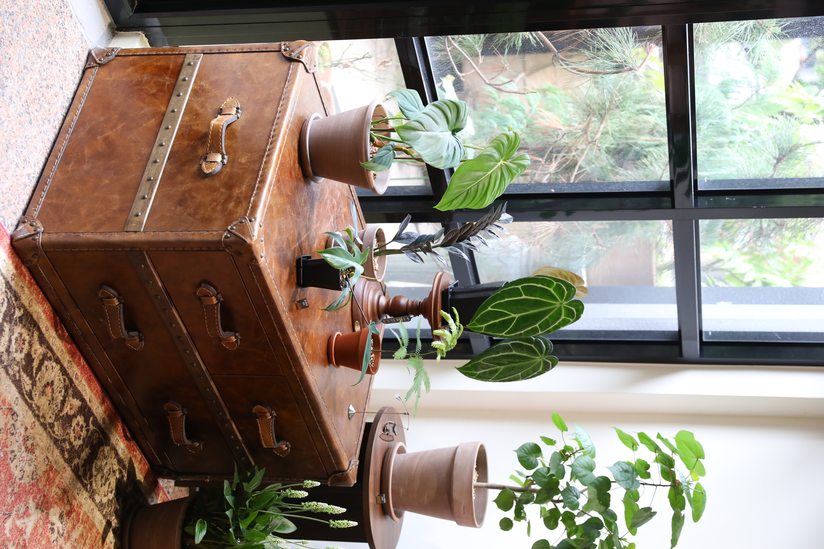 植栽、盆器搭配特地選來的復古家具，美感十足。