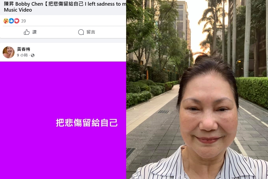 S媽藉由歌曲公開抒發情緒。（翻攝臉書）
