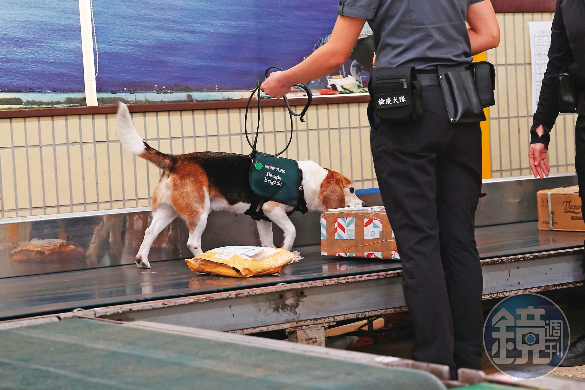緝毒犬會抽驗自國外寄回台的包裹，去年聞出寄往殷琪家的物品有大麻。