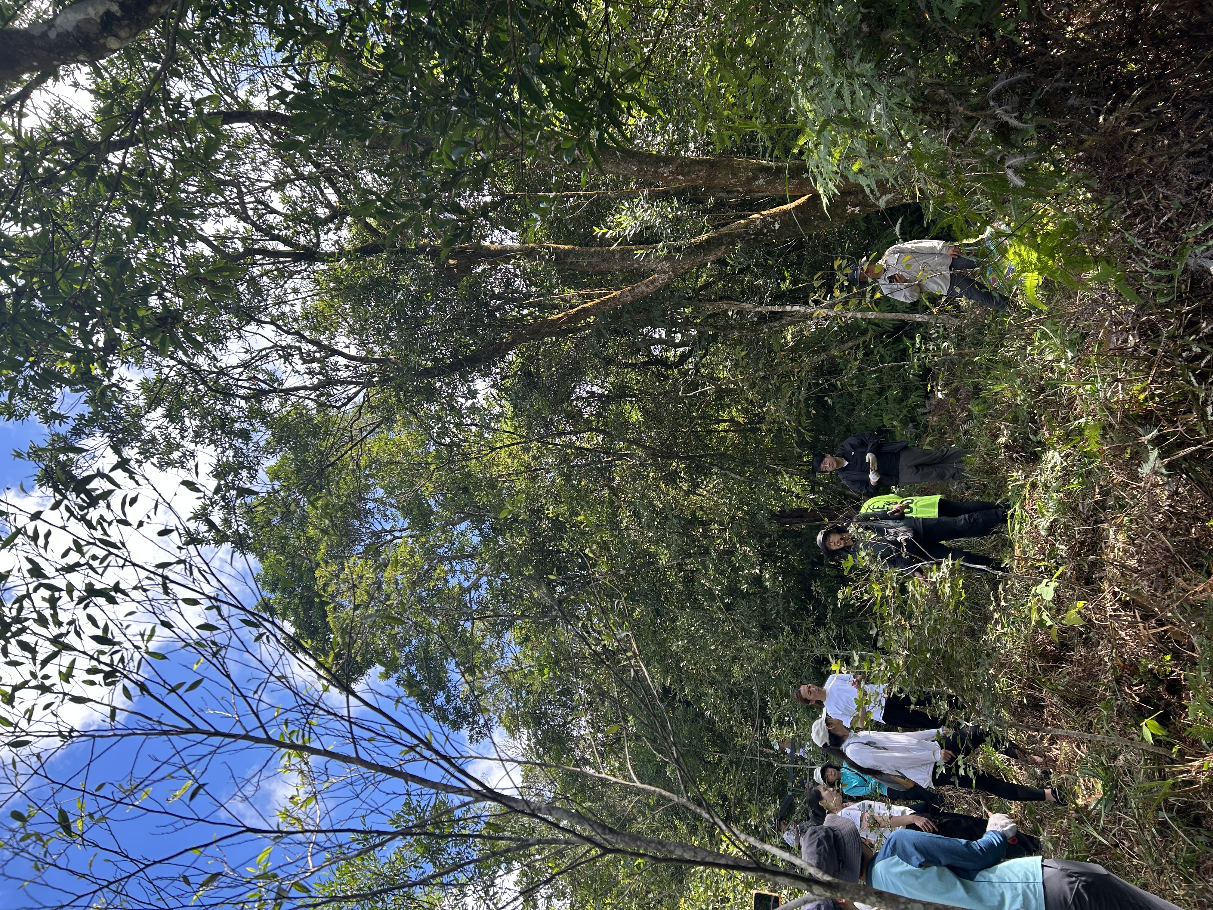 金控同仁志工利用週末假日到台北山區，植樹固土，替未來種下一份希望。