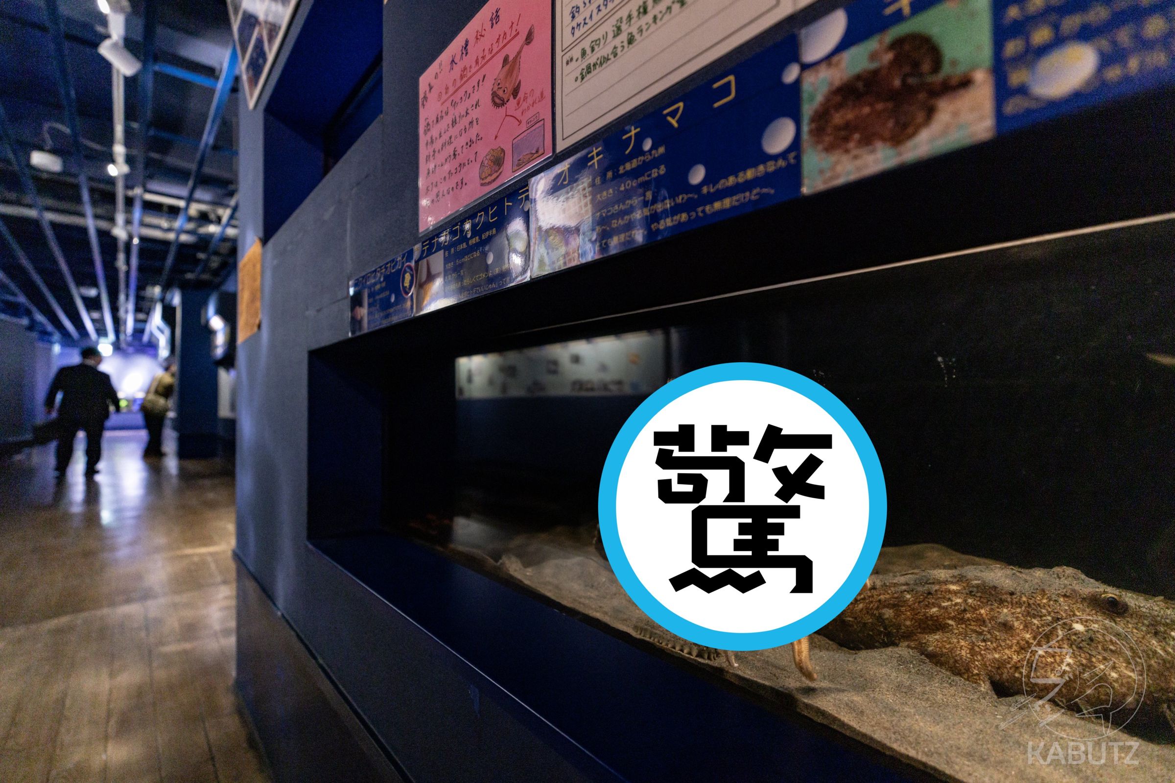 閉館時間到?海星貼玻璃揮手道別,迷因感爆棚。(翻攝自X/curve_ni)