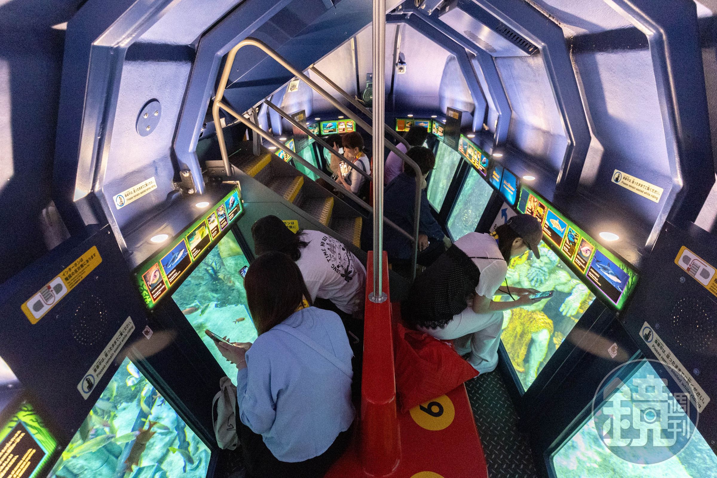 搭乘潛水艇穿梭巨大水族箱，近距離觀察熱帶魚與鯊魚等海洋生物。