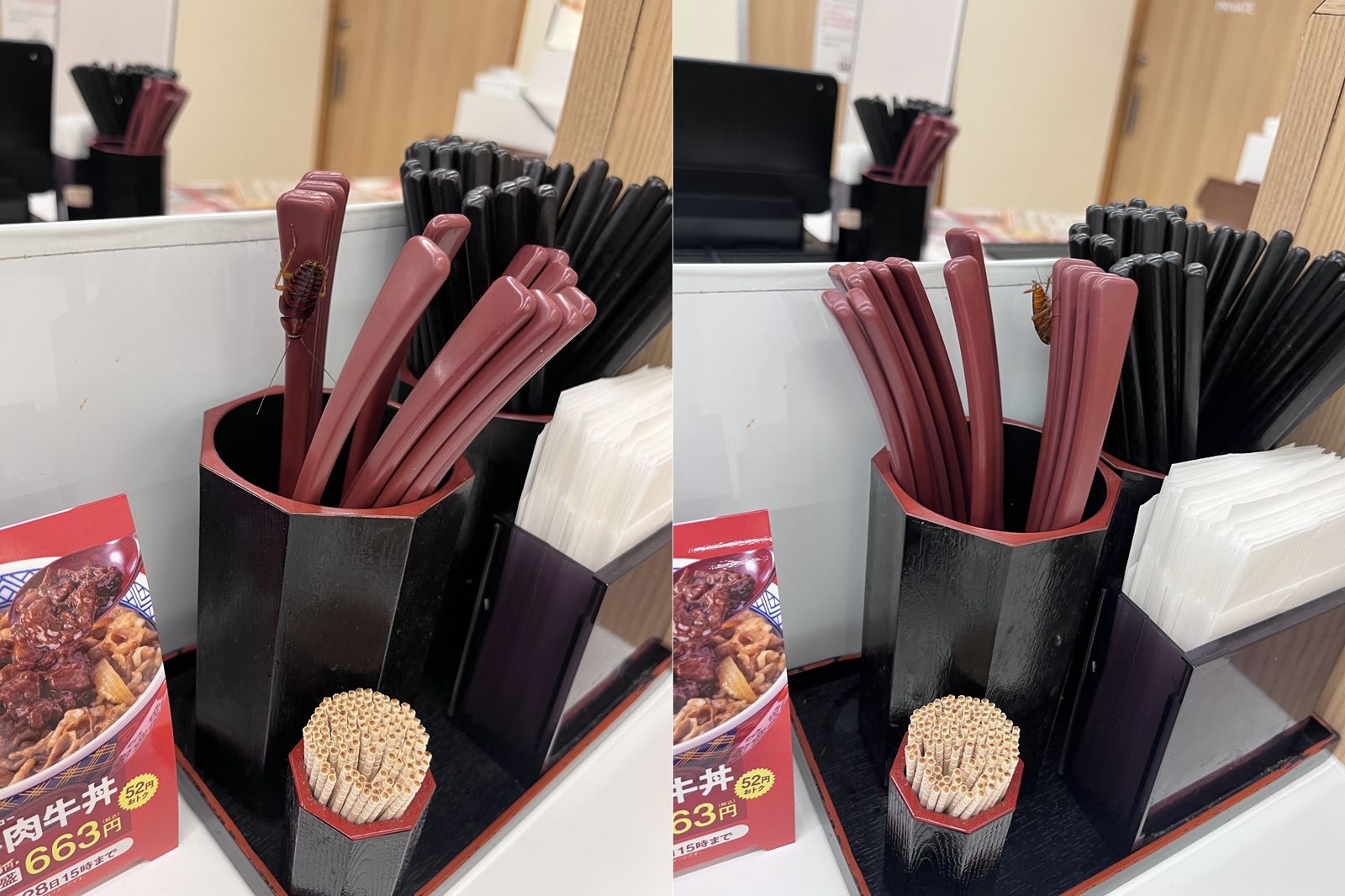 日本吉野家驚見蟑螂爬餐具! PO文卻反遭檢討