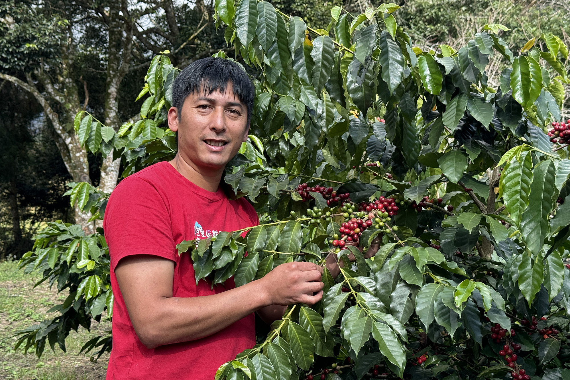 鄒族園創辦人方政倫是阿里山種植咖啡的先驅，也是將阿里山咖啡豆推向國際舞台的重要推手。