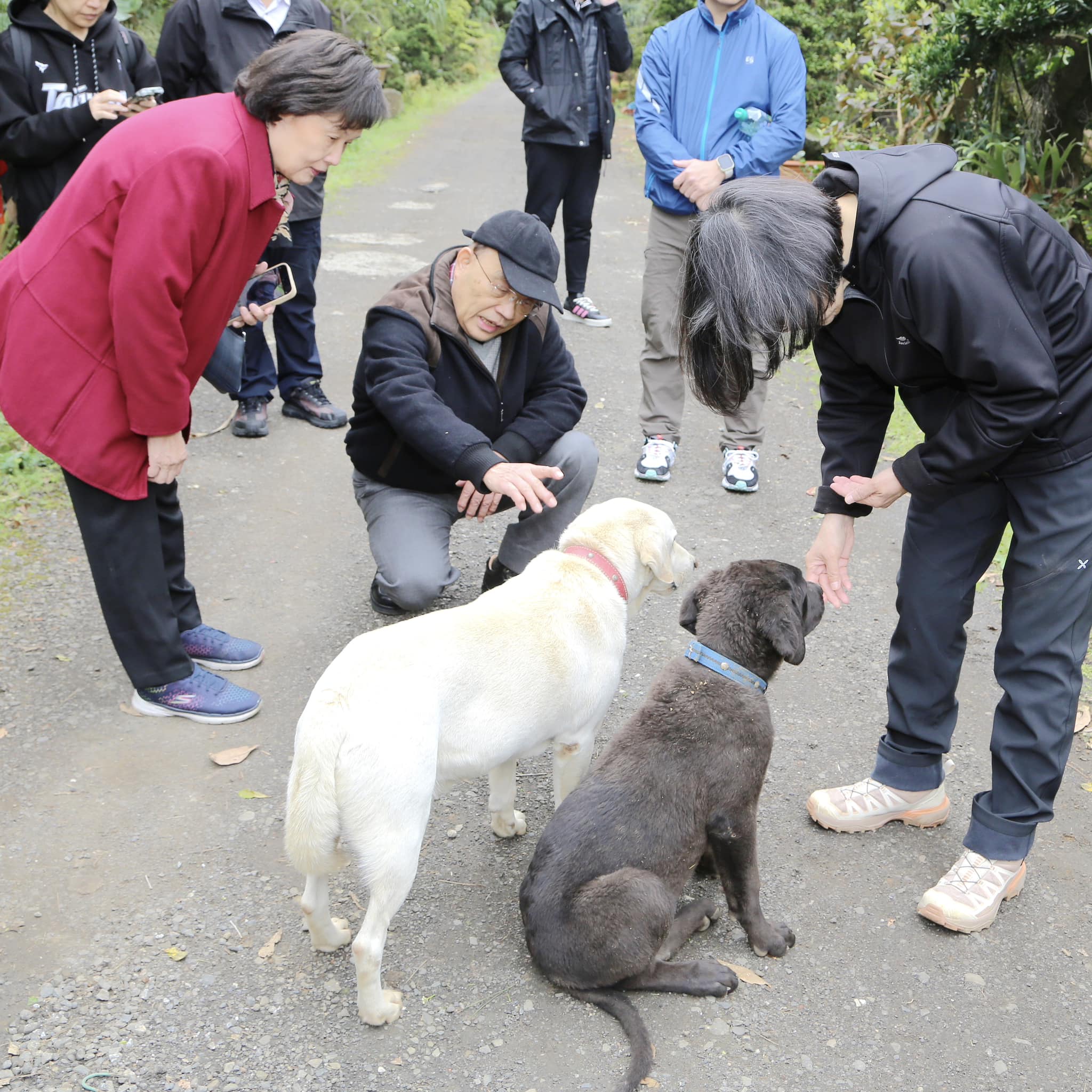 蘇貞昌透露，蔡英文帶著愛犬樂樂散步的路線上，她認識每一個鄰居，也認識每一個鄰居家的毛小孩。（翻攝自蔡英文 Tsai Ing-wen臉書）