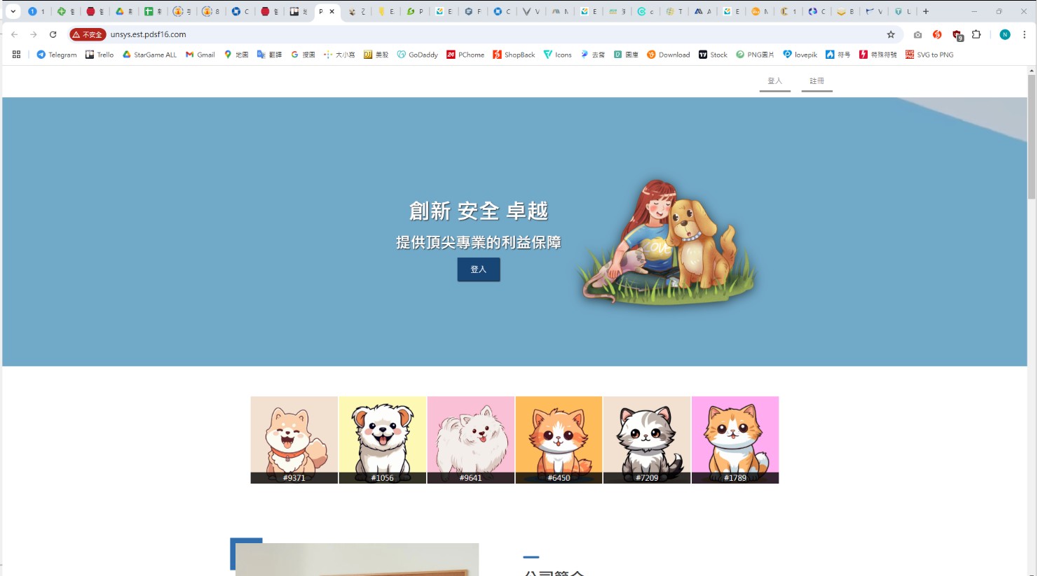 詐騙網站網頁精美，幾可亂真。（警方提供）