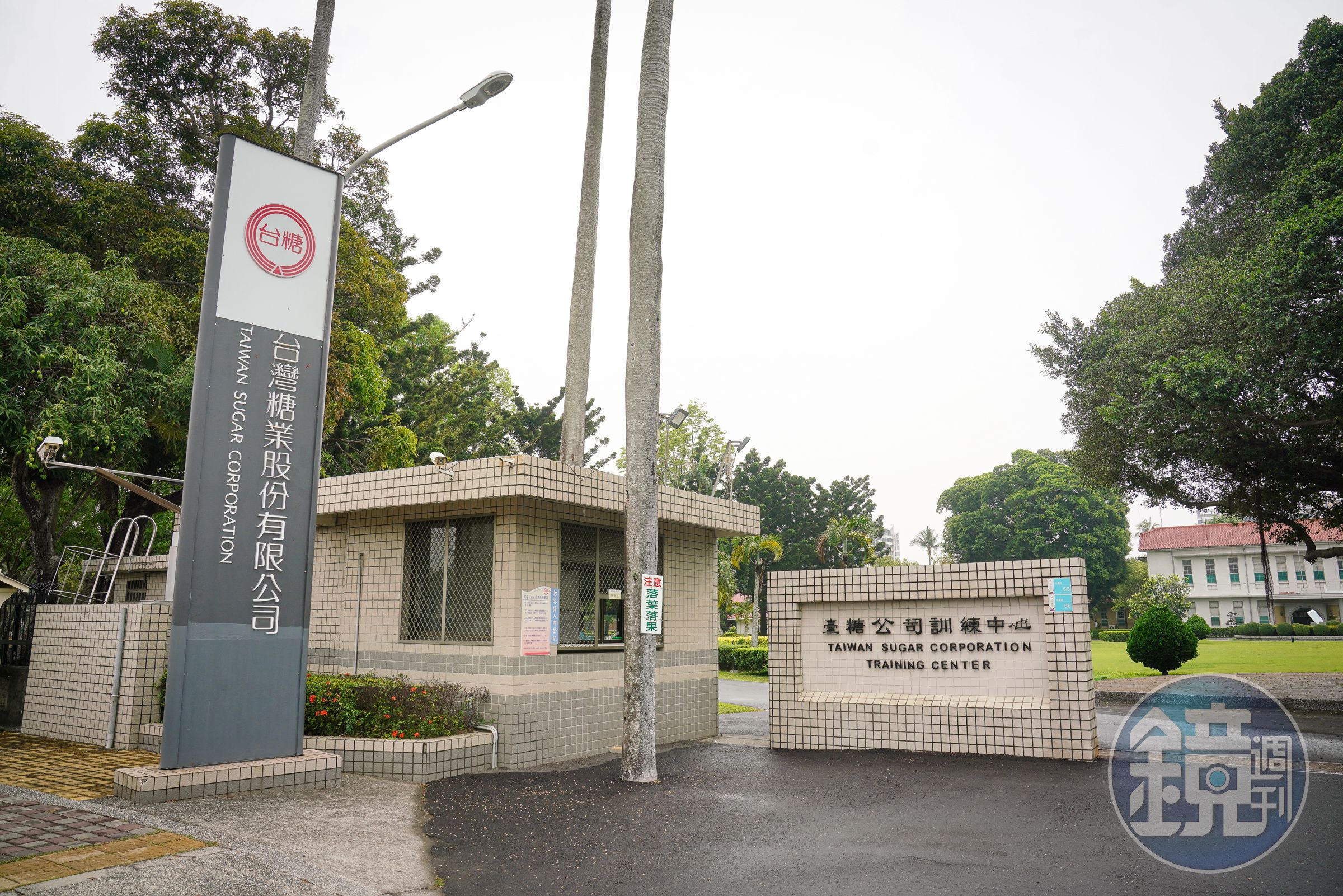台糖公司表示,接獲高雄市衛生局通知經審查符合規定,准予重新上架,旗下沙拉油歷經32次檢驗證明品質無虞,自營通路自16時起陸續上架。(本刊資料照)