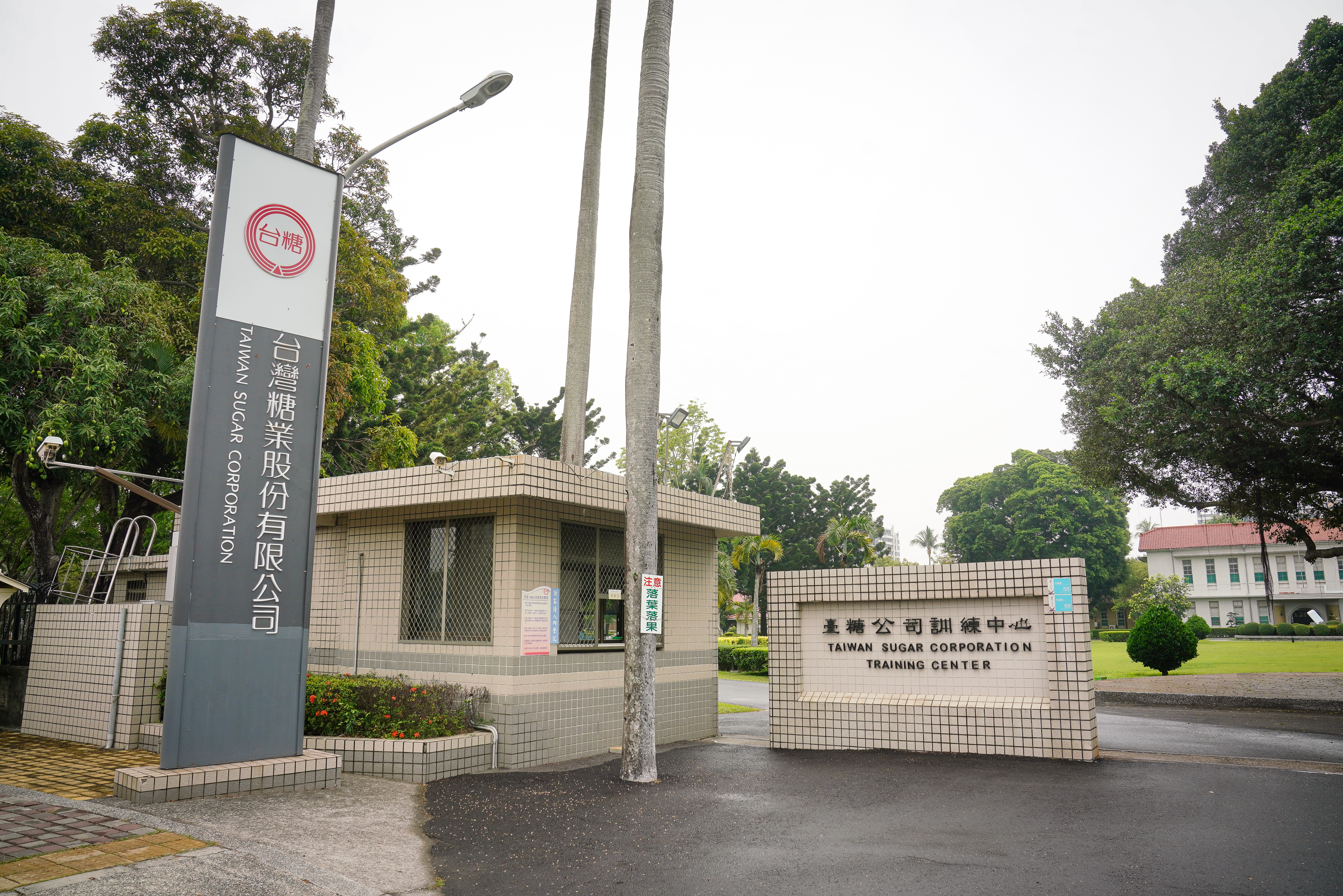 快訊/不忍了!台糖捲入中聯致癌油風波「損失至少2.4億」 將對供貨商福懋提告求償