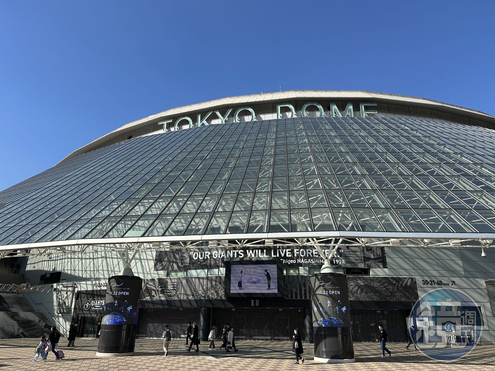 日本電視沒轉播!WBC預賽日本隊門票「40萬人搶破頭」 台灣人免擔心