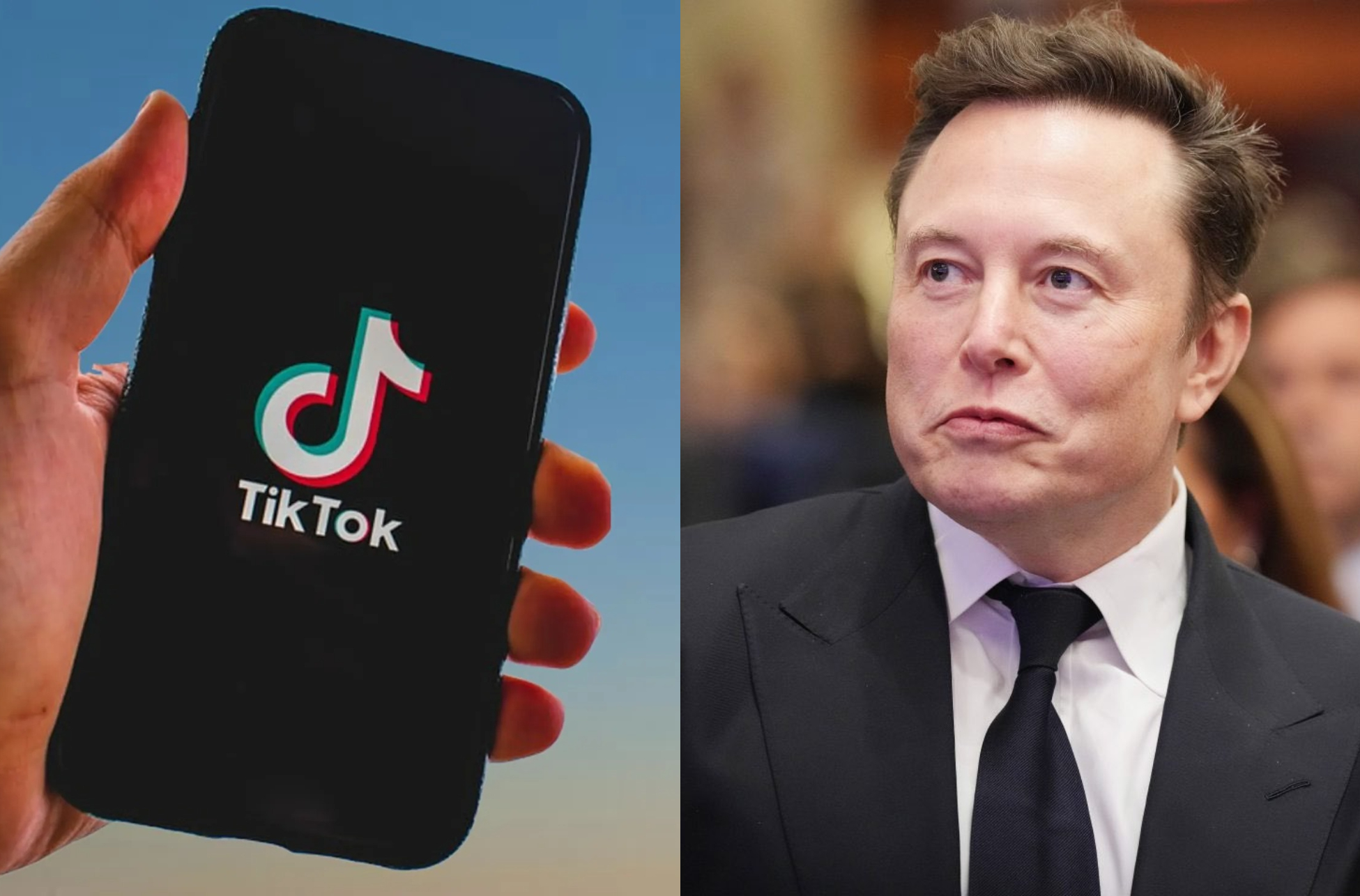 中國考慮將TikTok美國業務賣給馬斯克。（翻攝Pixal、X）