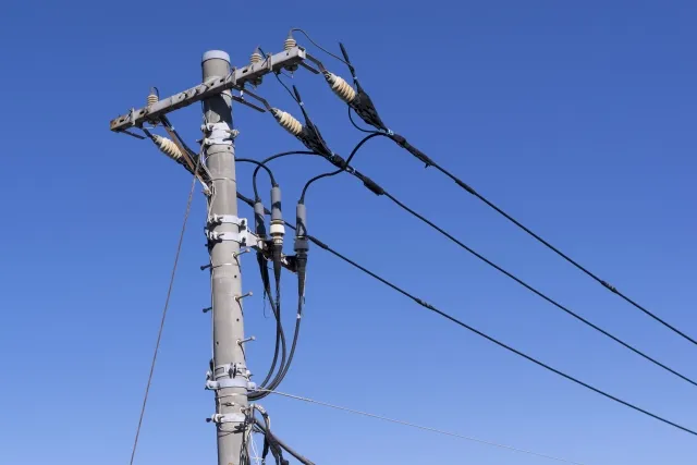 逼全裸爬電線桿、噴燈燒大腿！日本冷血老闆夫妻爆虐待　員工想離職遭檯燈砸頭