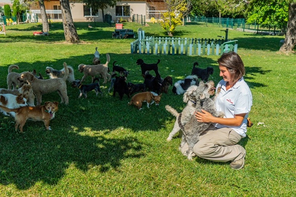 法國皇家長期推廣負責任的飼主觀念,並鼓勵飼主響應「終養不棄養」。(法國皇家提供)