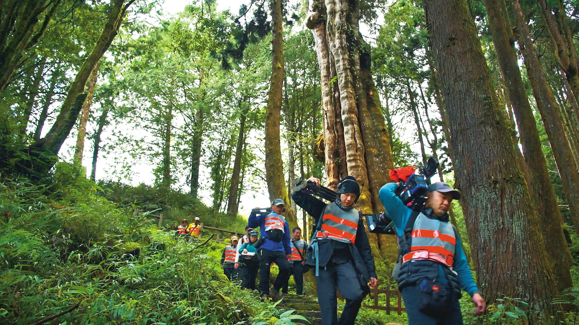 團隊以人力搬運器材進入阿里山森林園區內取景。（公視提供）
