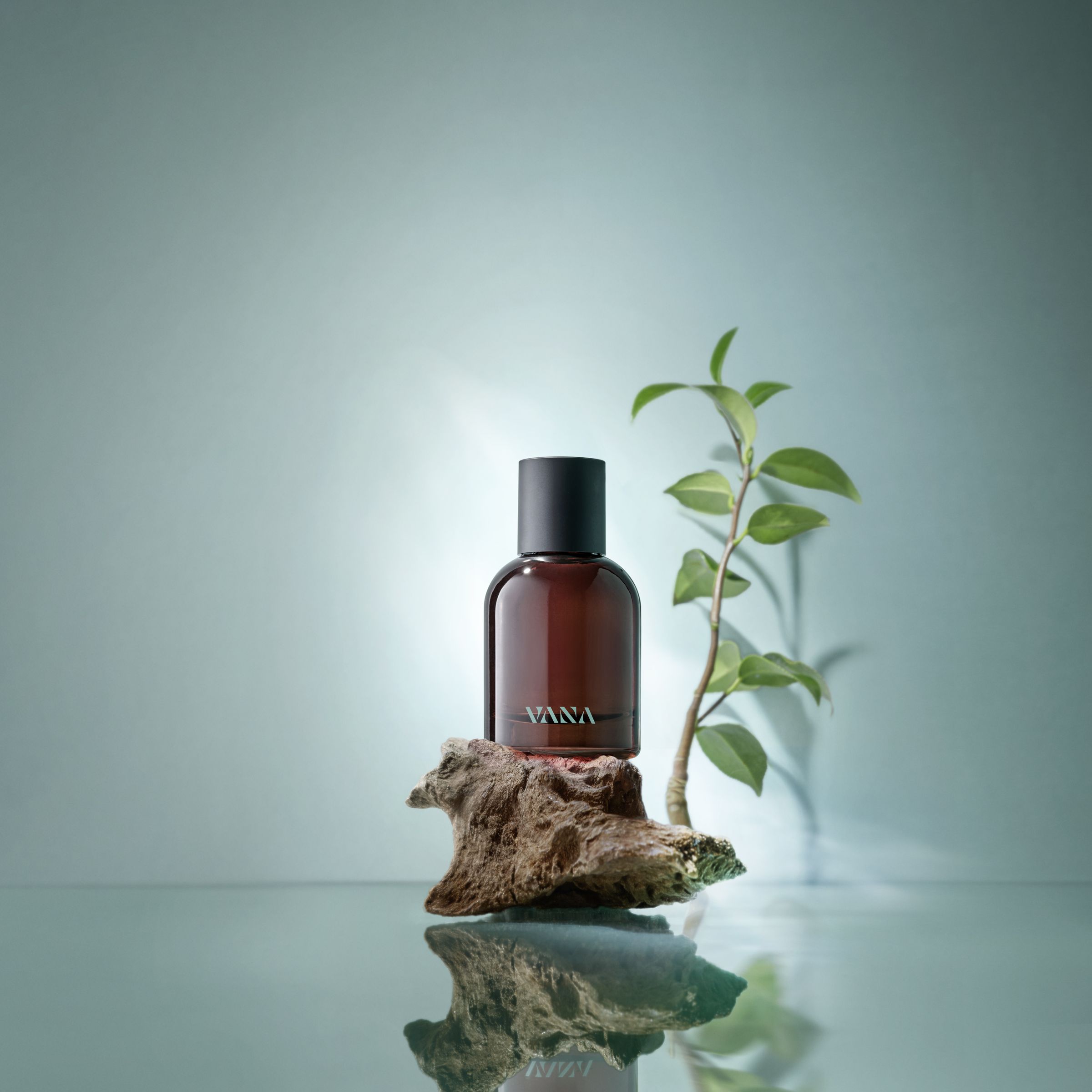 VANA樺樹禮讚淡香精(Birch Bliss Eau de Parfum)宛如漫步森林的安靜與愜意,冷靜而溫和,自然散發人文知性魅力。50ml/NT$1,880(VANA提供)