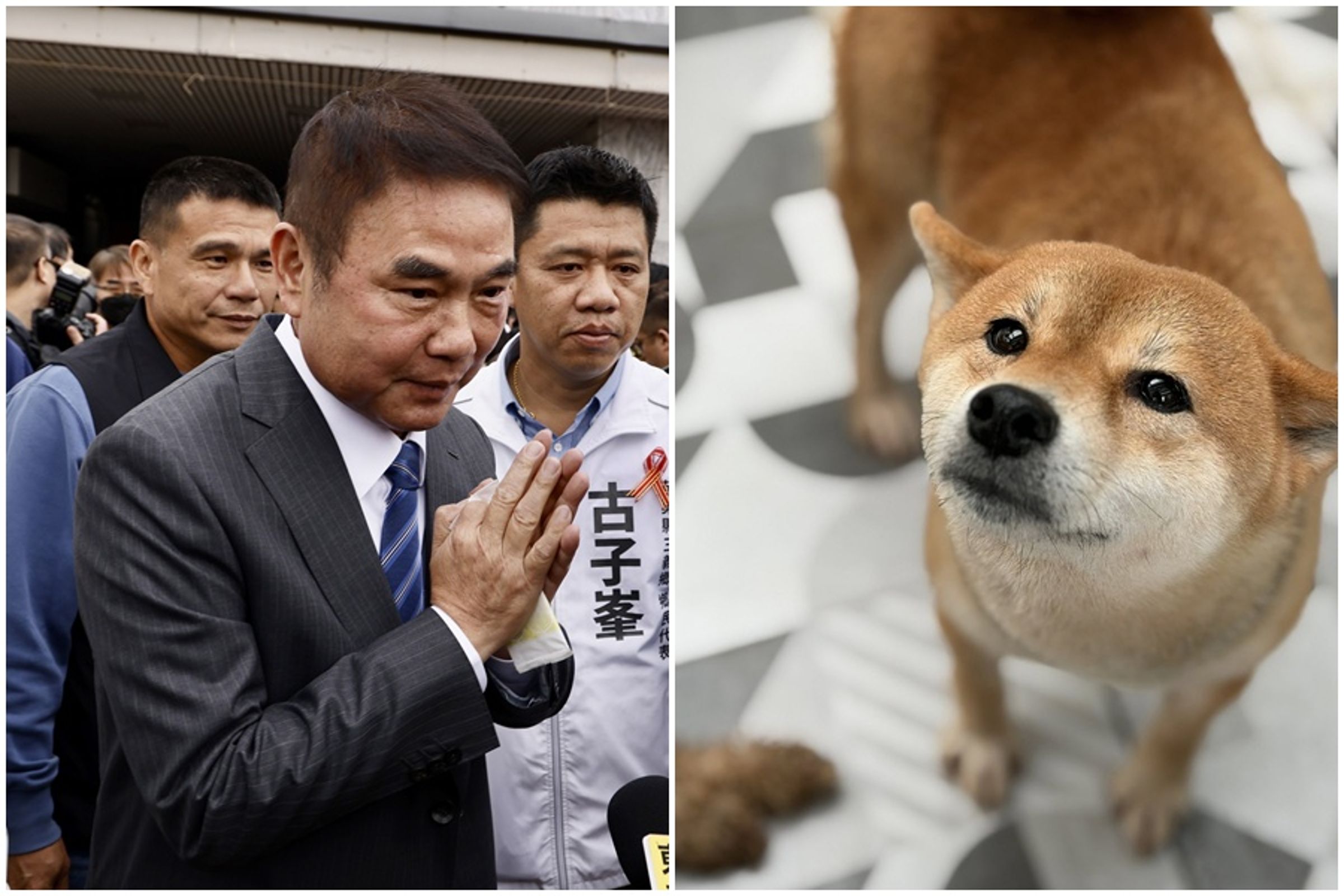 鍾東錦發文說明人人犬舍受虐毛孩的後續處置動向。（本刊資料照、翻攝自鍾東錦臉書）